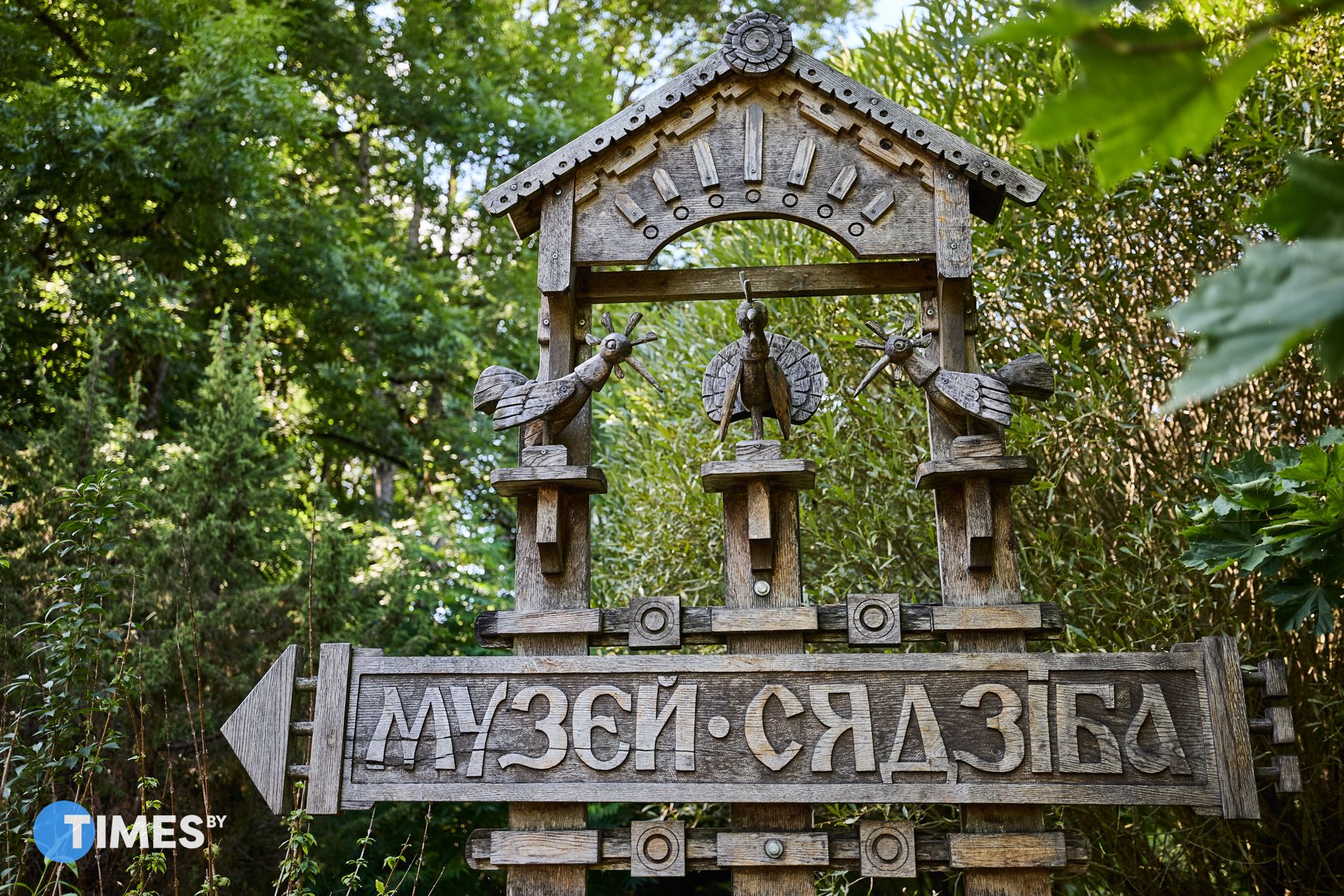 Фото: Алексей Матюшков, Times.by