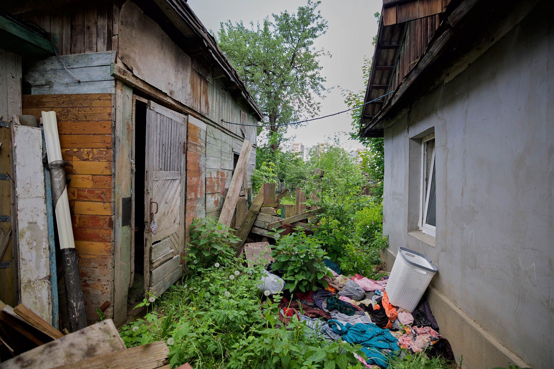Фото: Алексей Матюшков, Times.by