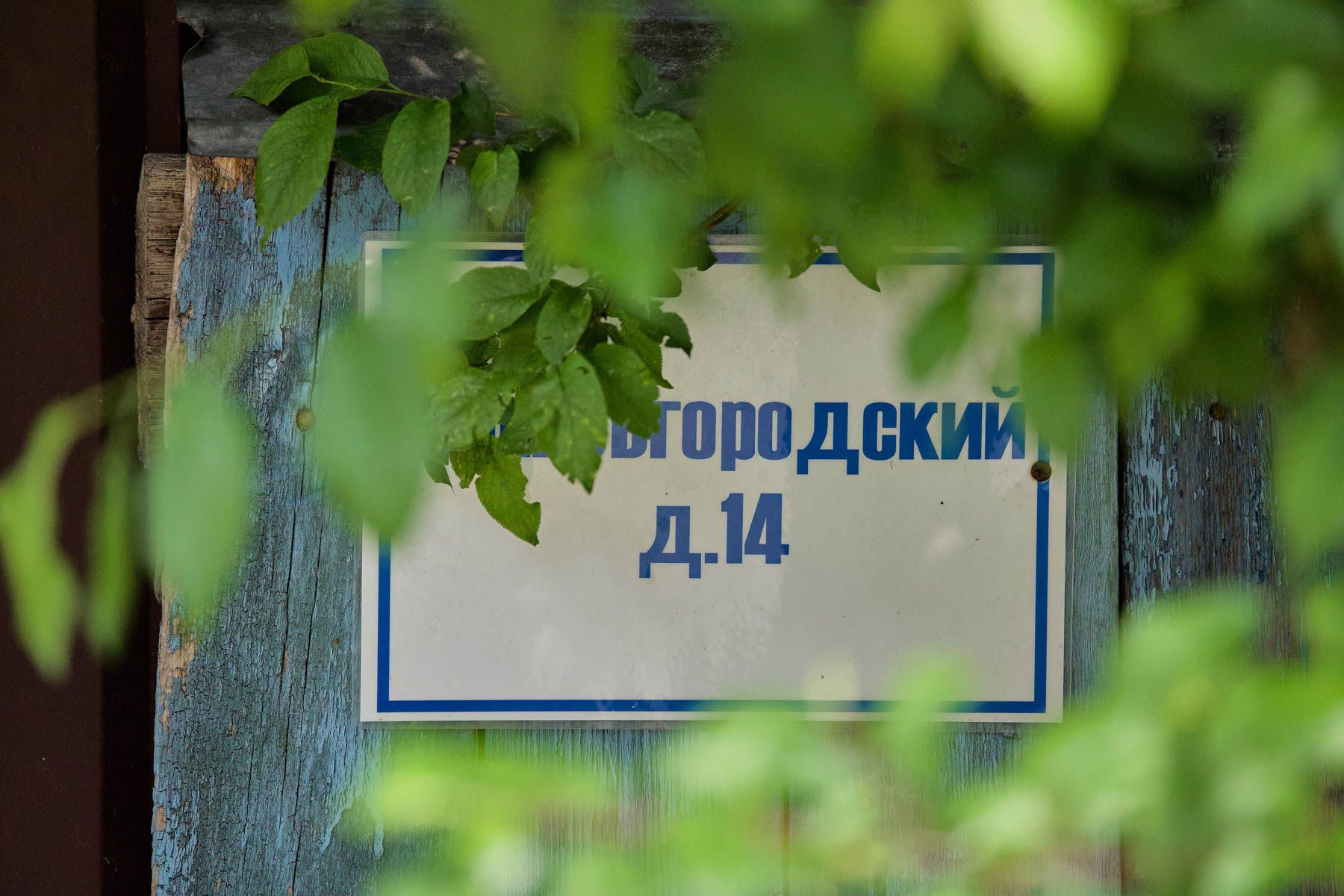 Фото: Алексей Матюшков, Times.by
