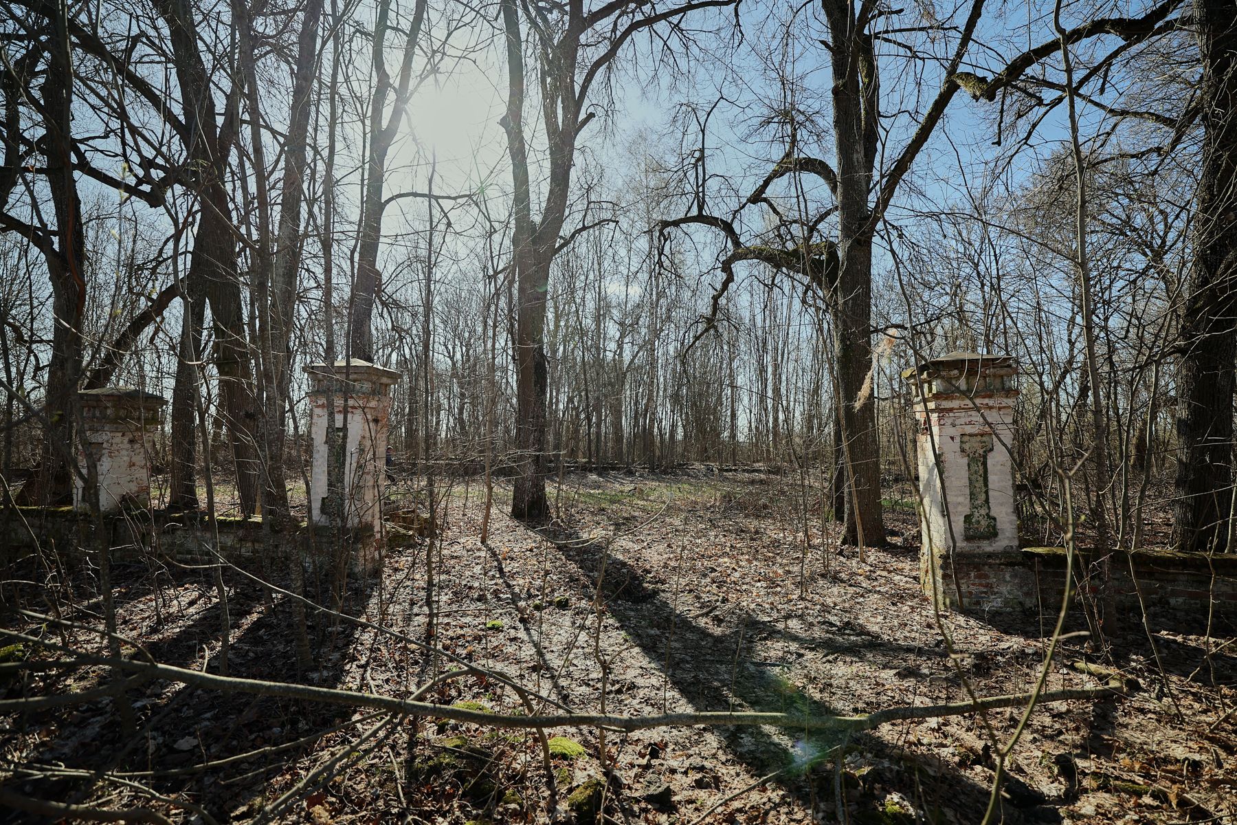 Фото: Алексей Матюшков, Times.by