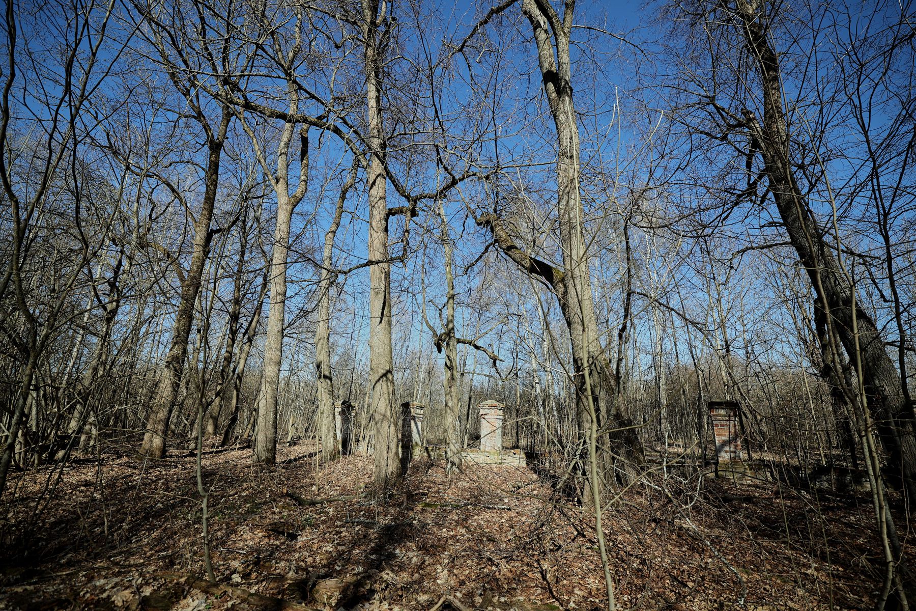 Фото: Алексей Матюшков, Times.by