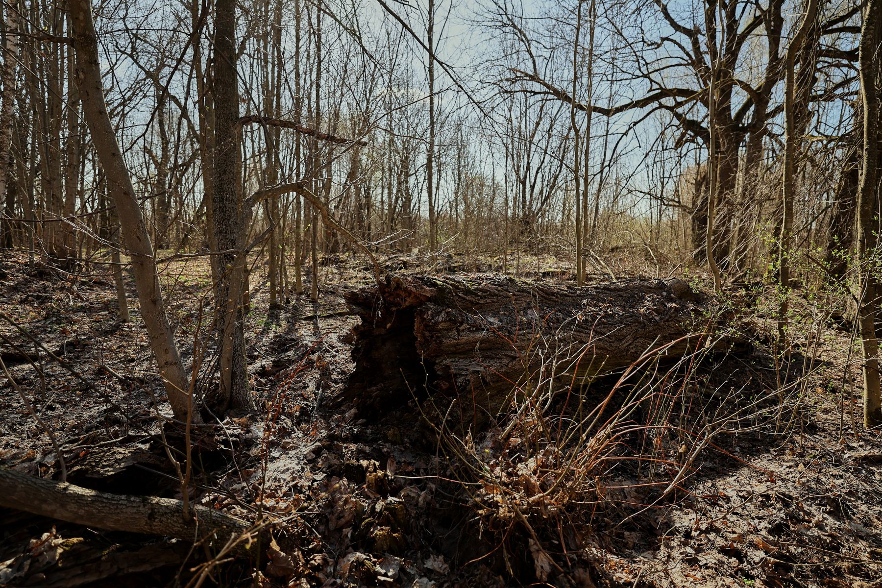 Фото: Алексей Матюшков, Times.by