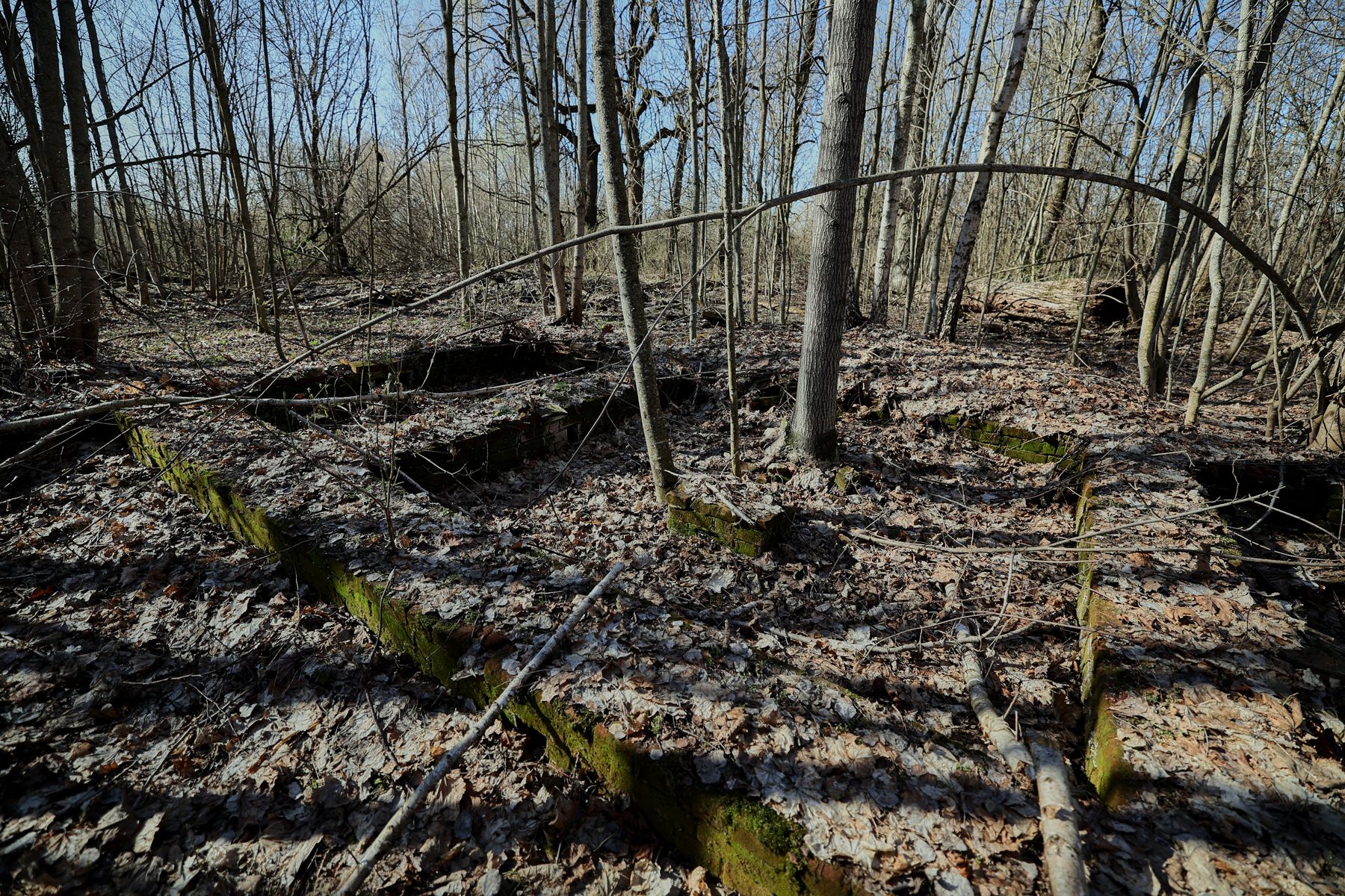 Фото: Алексей Матюшков, Times.by