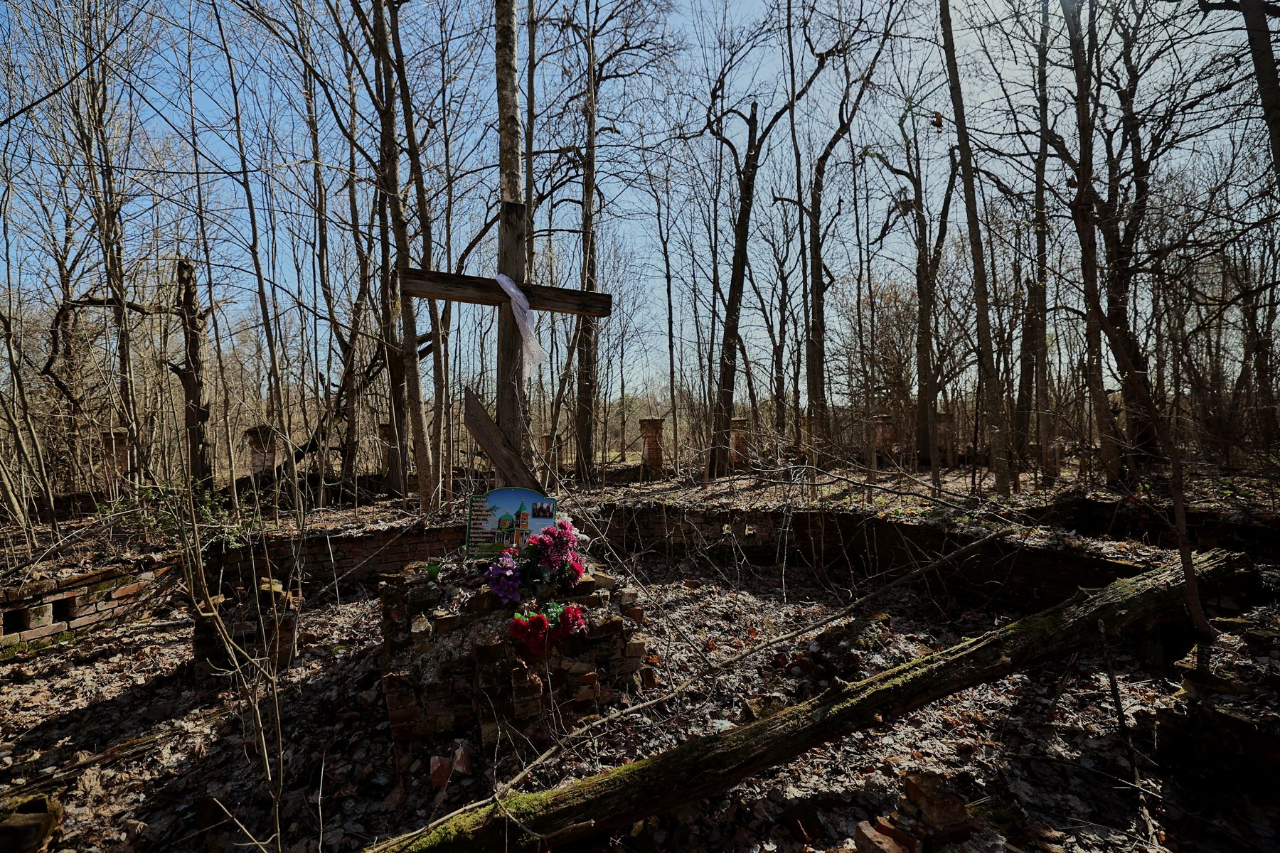 Фото: Алексей Матюшков, Times.by