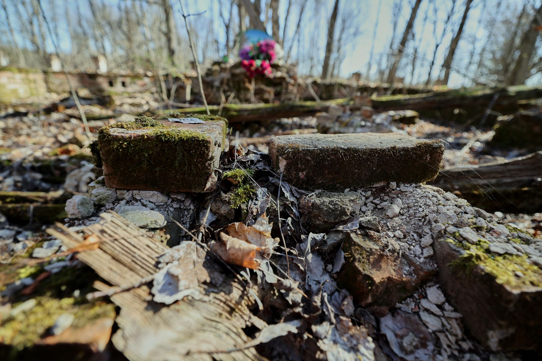 Фото: Алексей Матюшков, Times.by