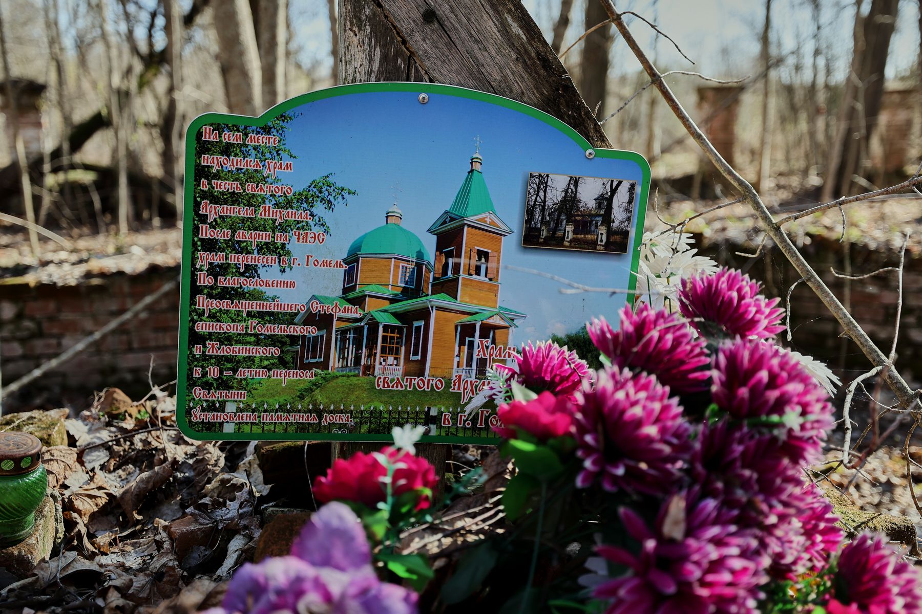 Фото: Алексей Матюшков, Times.by