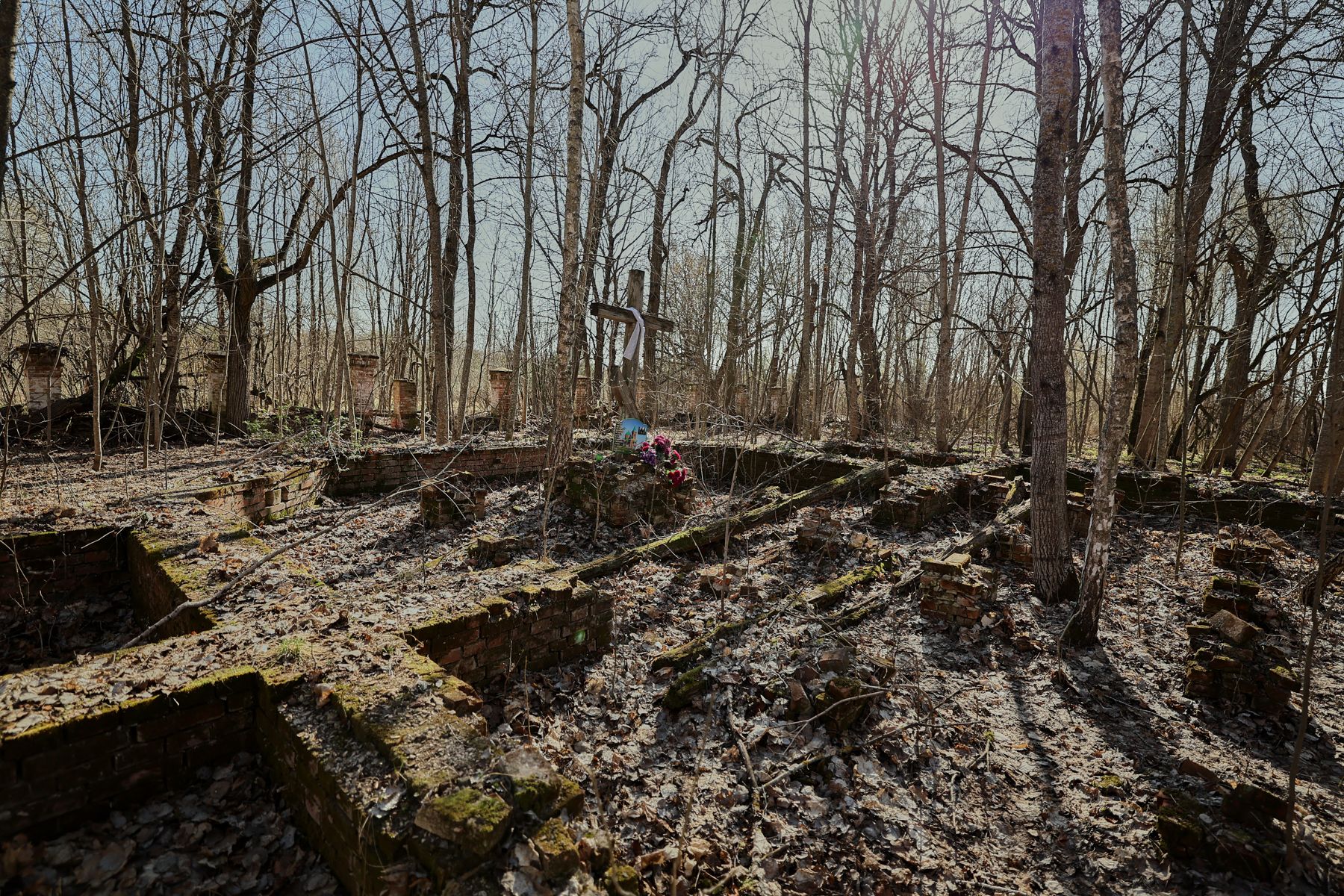 Фото: Алексей Матюшков, Times.by