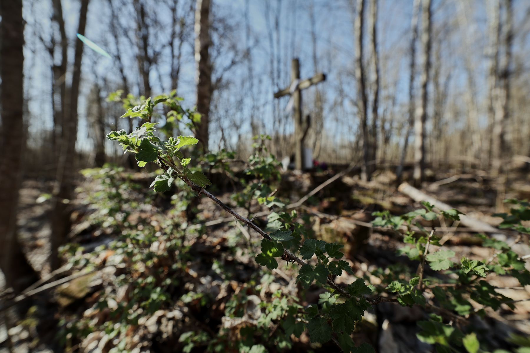 Фото: Алексей Матюшков, Times.by