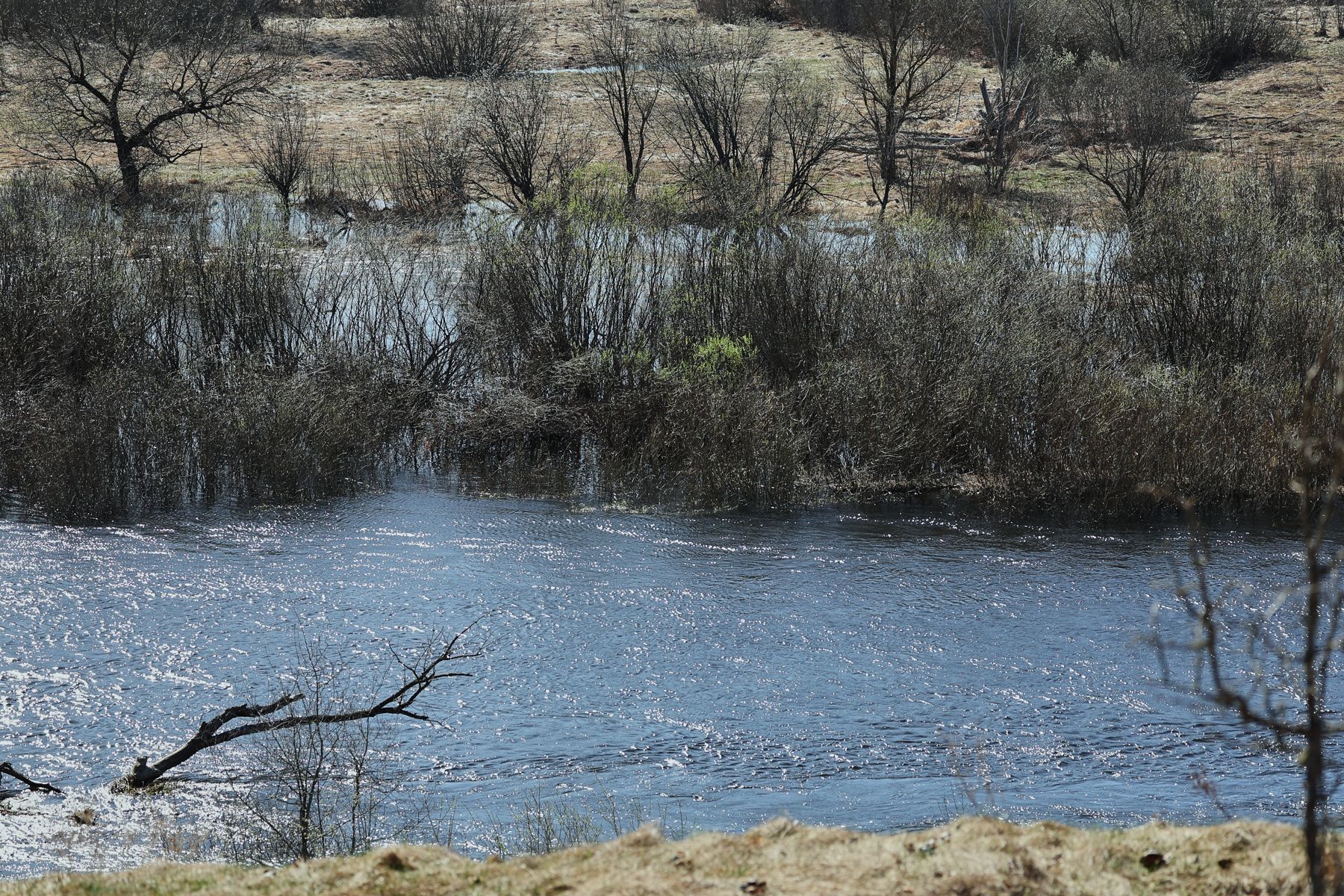 Фото: Алексей Матюшков, Times.by