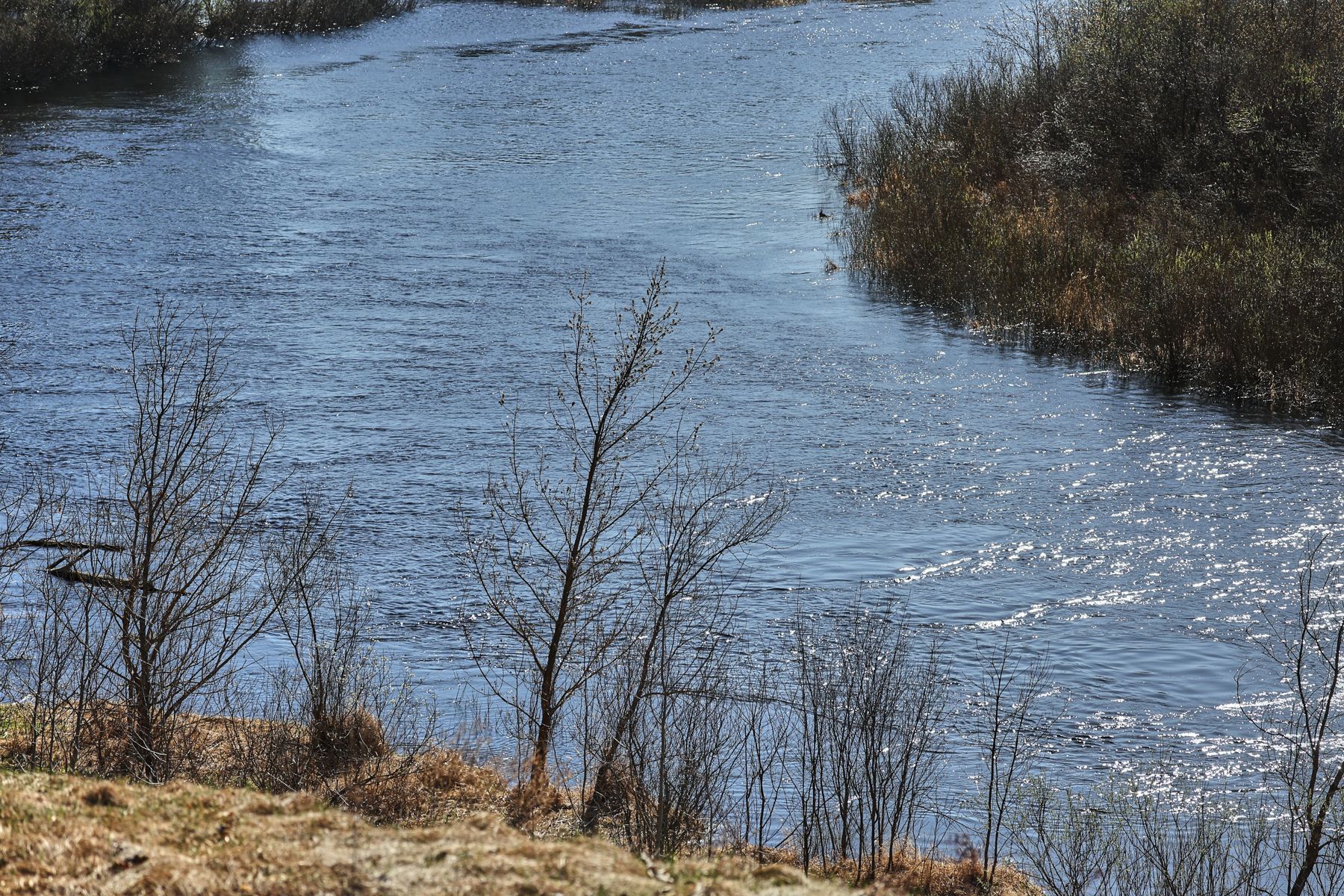 Фото: Алексей Матюшков, Times.by