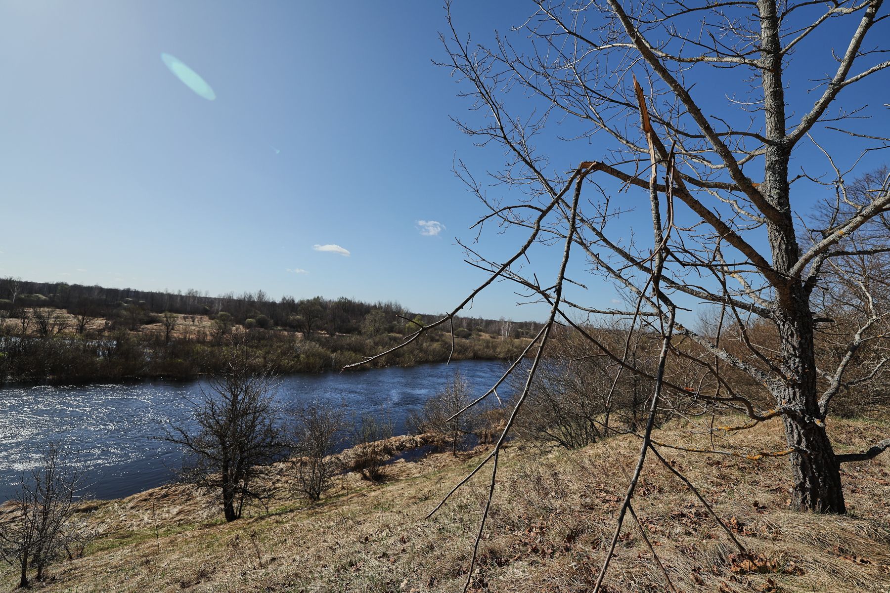 Фото: Алексей Матюшков, Times.by
