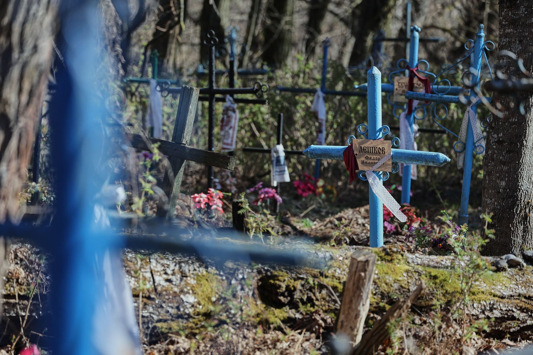 Фото: Алексей Матюшков, Times.by