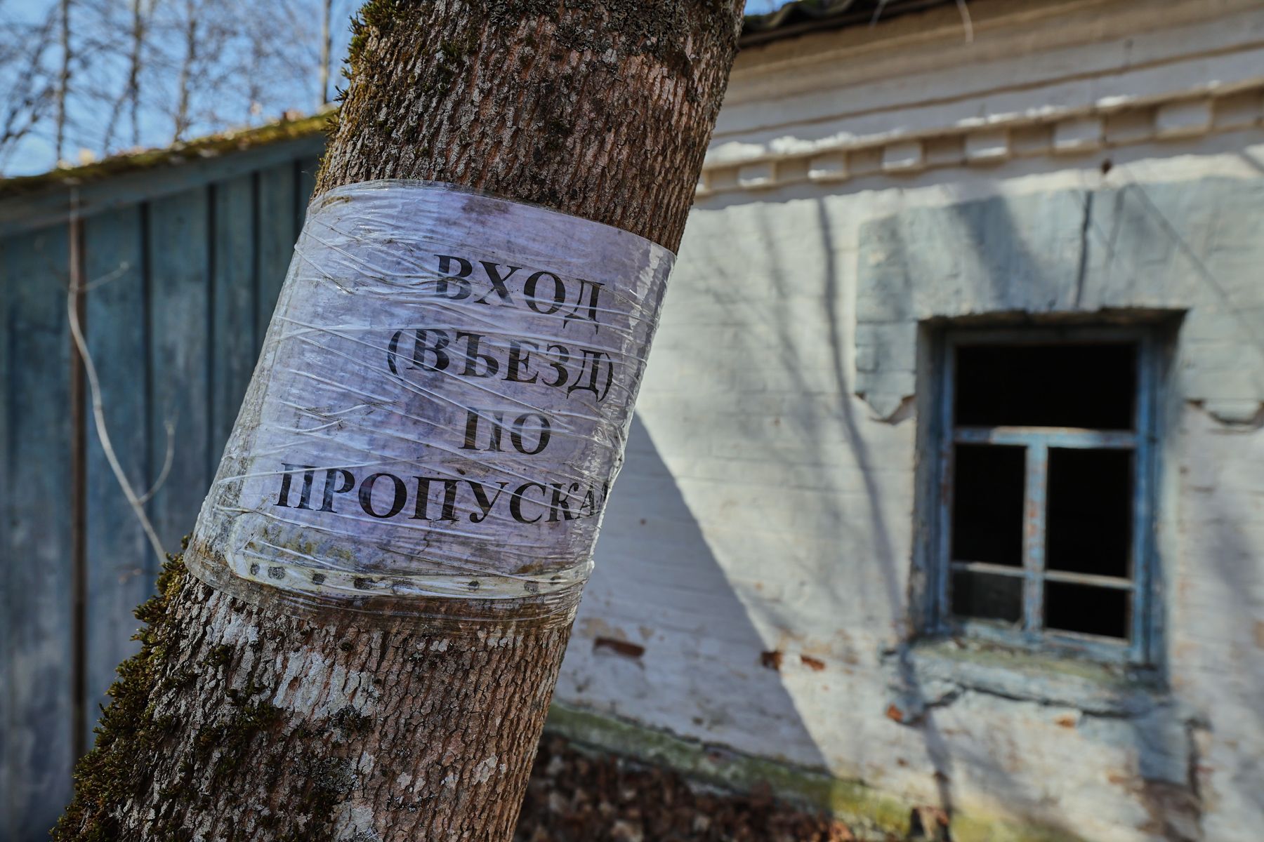 Фото: Алексей Матюшков, Times.by