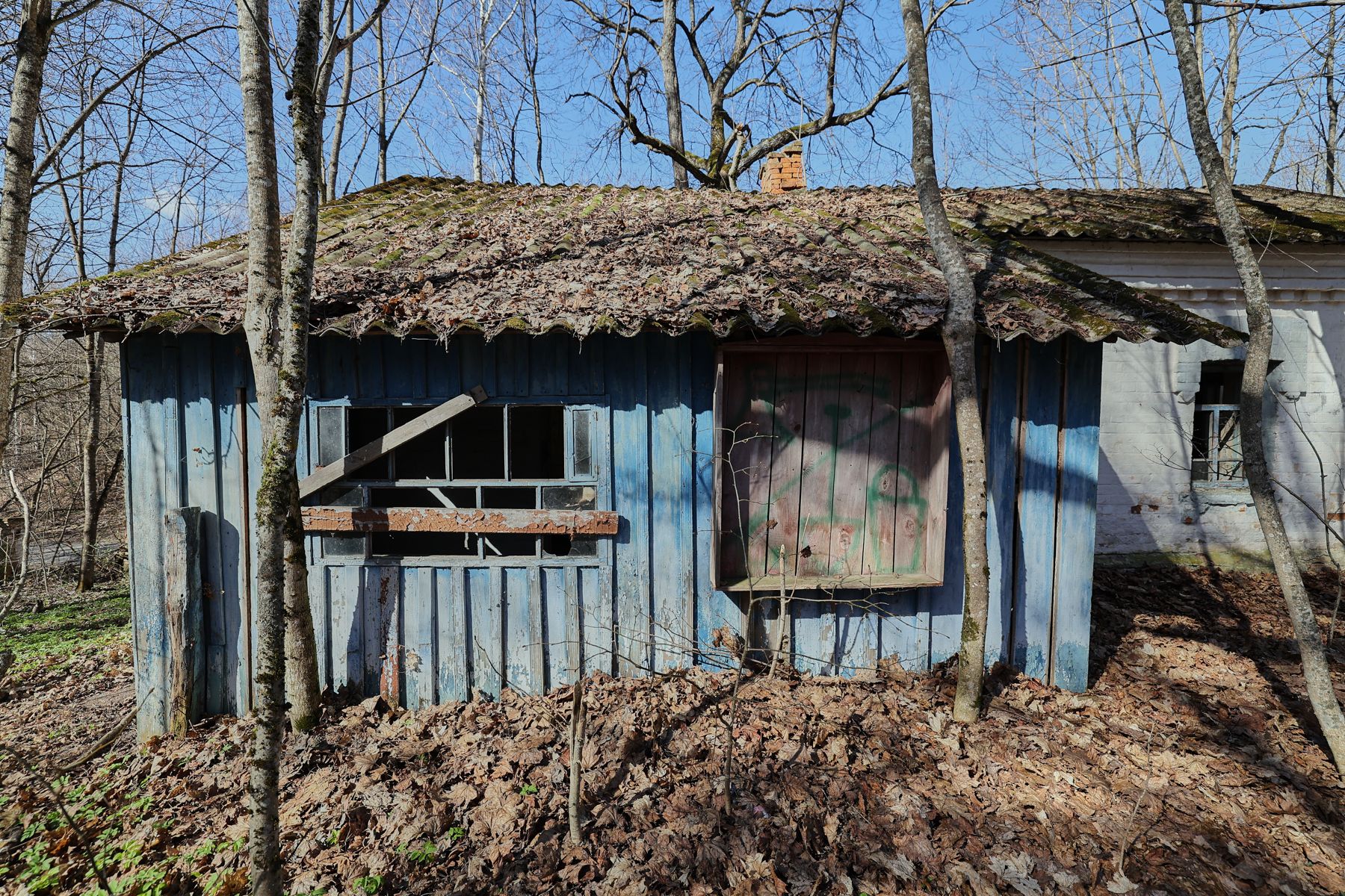 Фото: Алексей Матюшков, Times.by