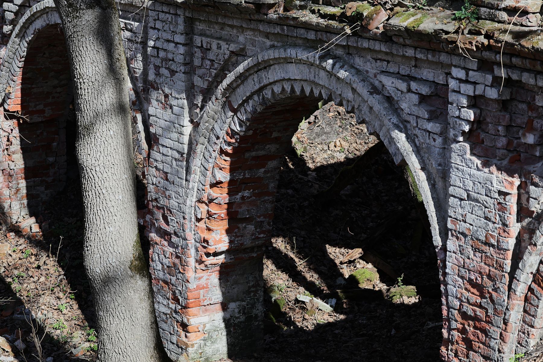 Фото: Алексей Матюшков, Times.by