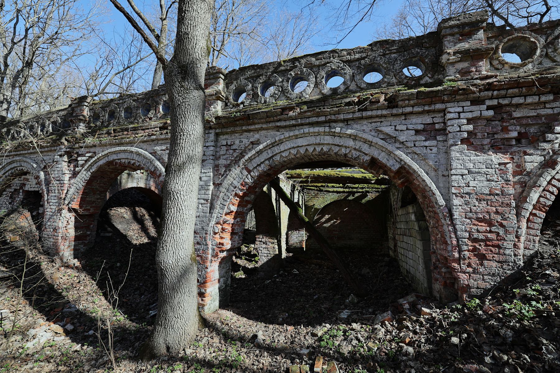 Фото: Алексей Матюшков, Times.by