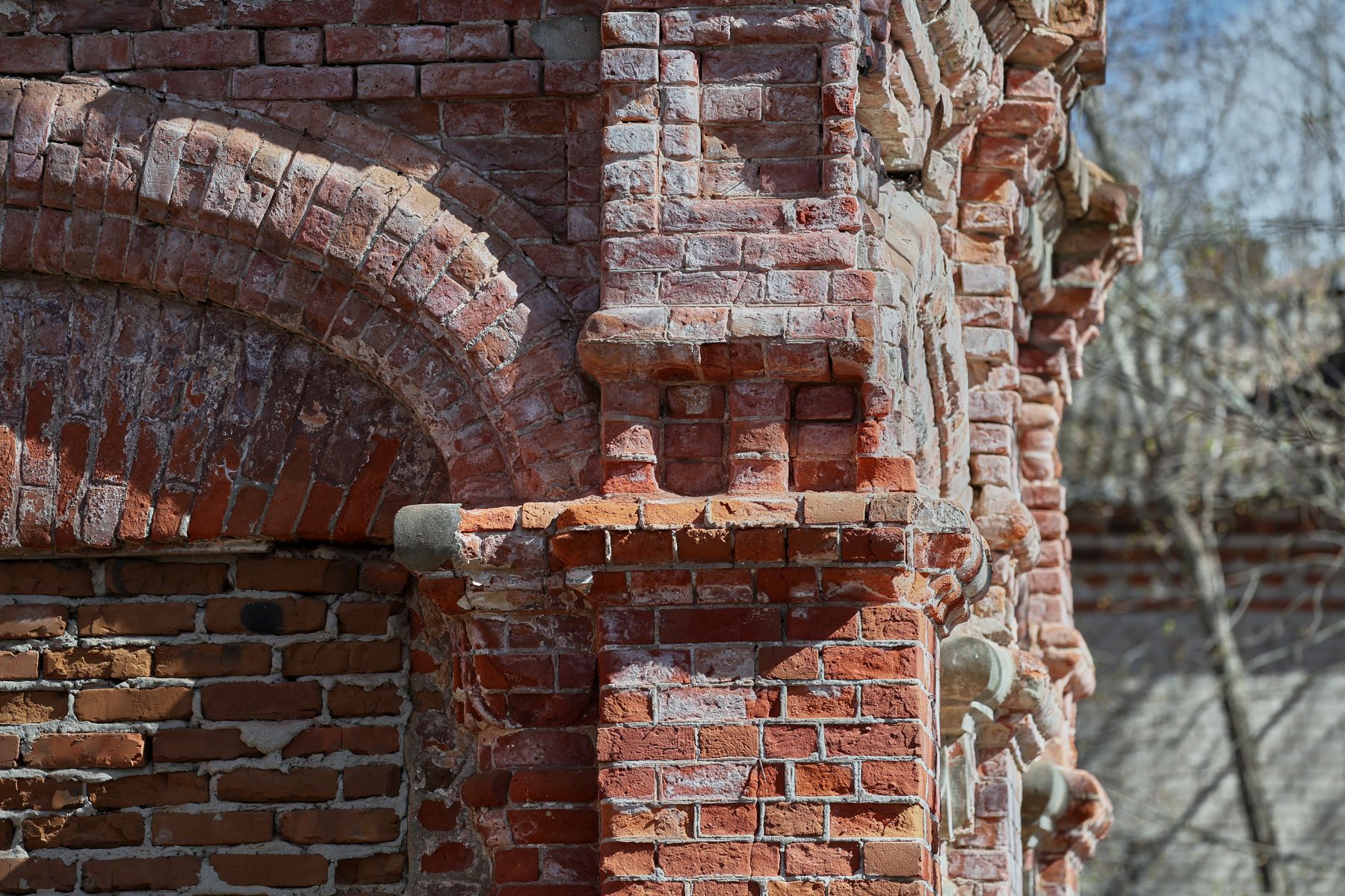 Фото: Алексей Матюшков, Times.by