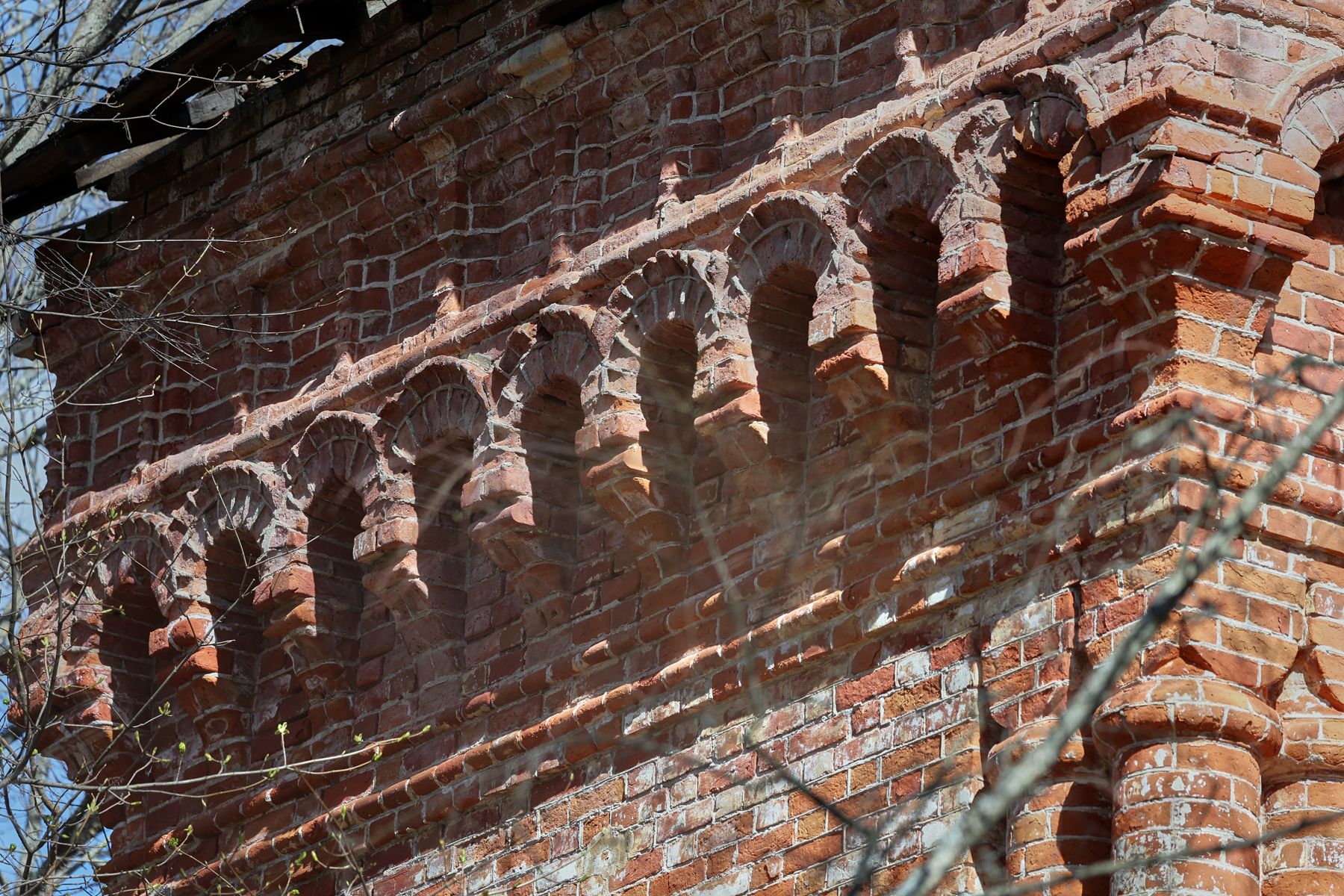 Фото: Алексей Матюшков, Times.by