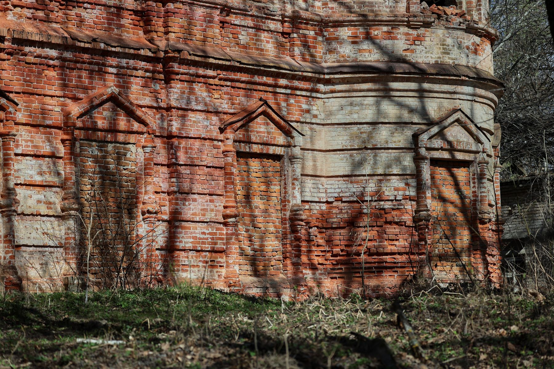 Фото: Алексей Матюшков, Times.by