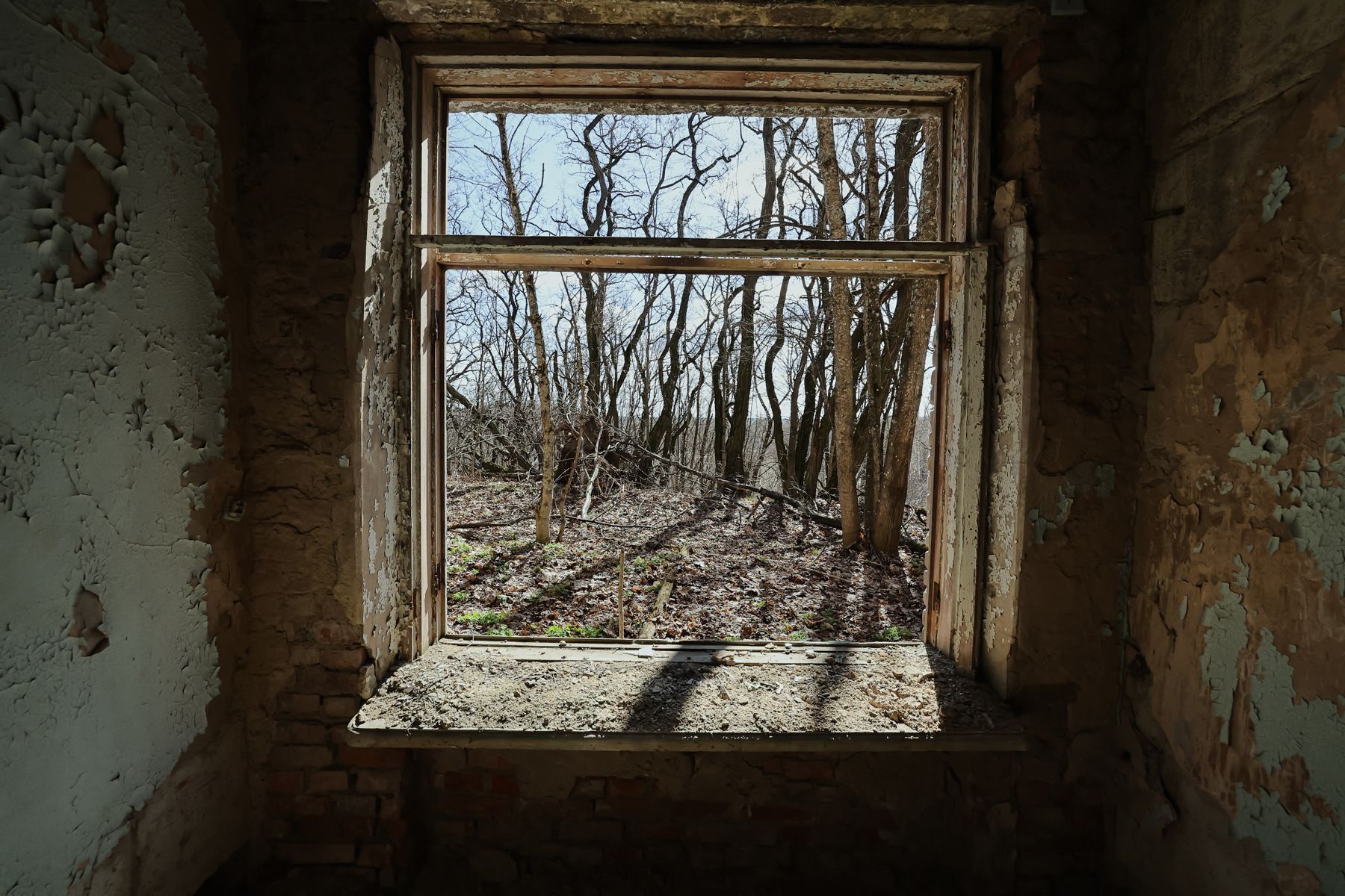 Фото: Алексей Матюшков, Times.by