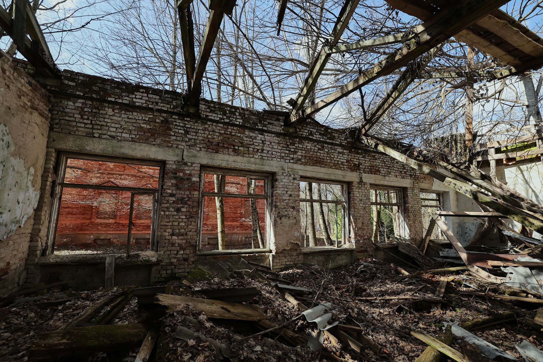 Фото: Алексей Матюшков, Times.by