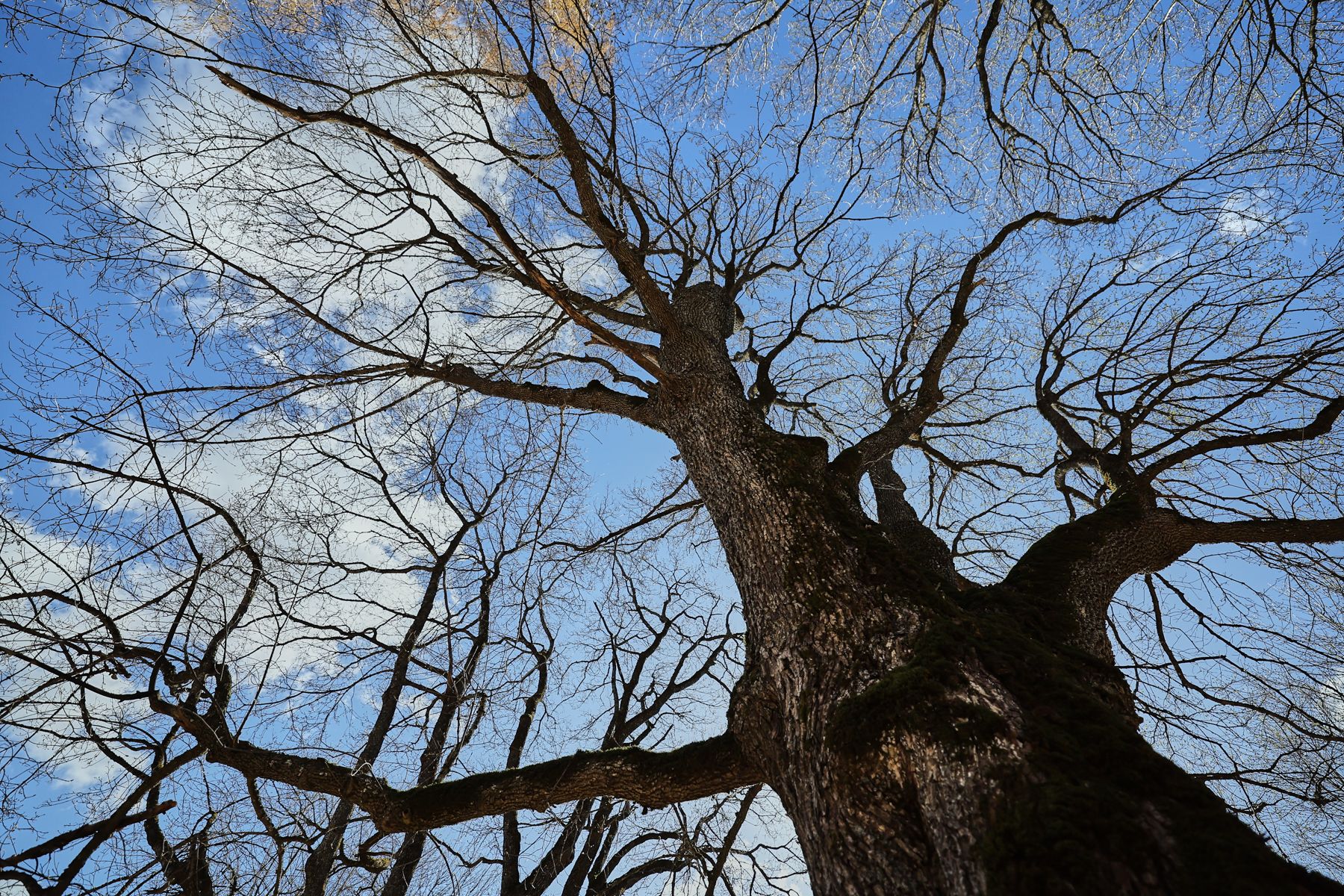 Фото: Алексей Матюшков, Times.by