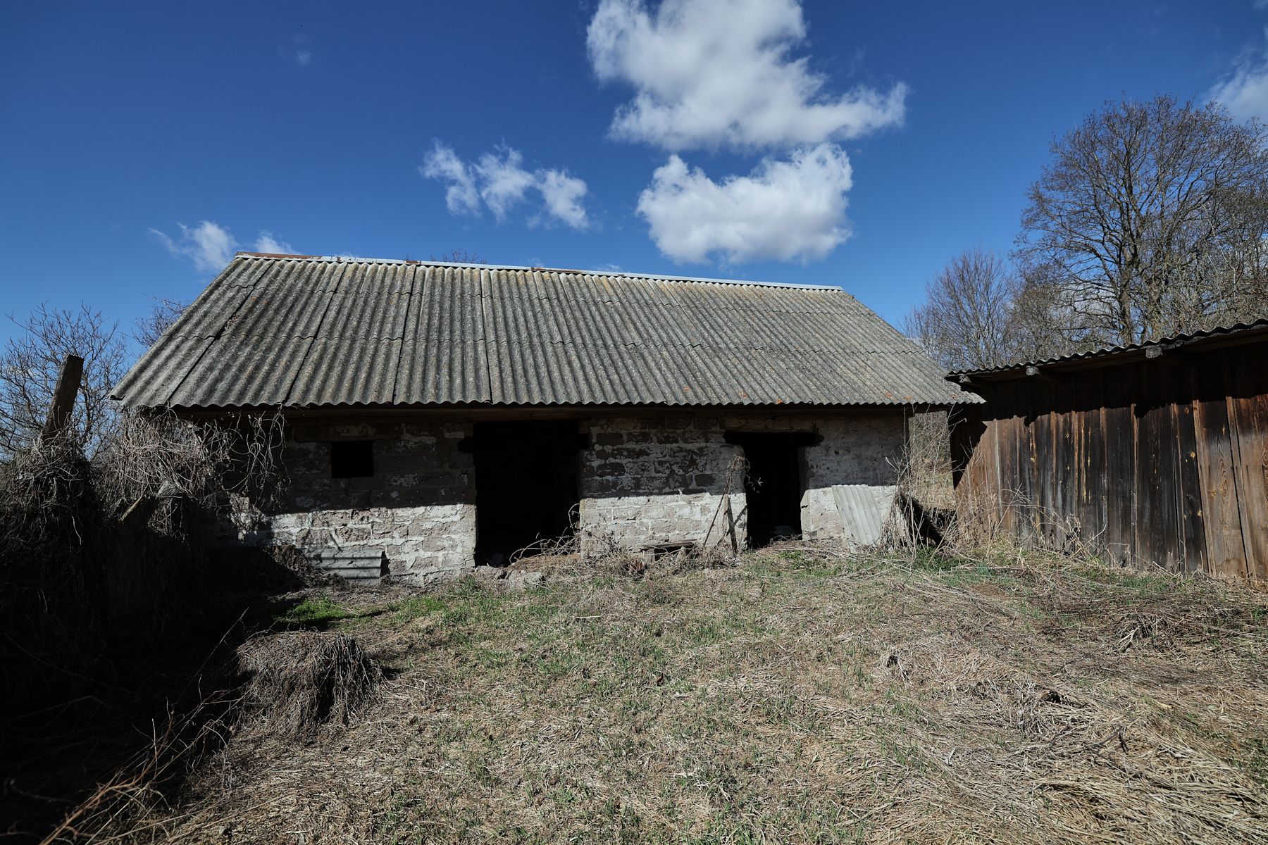 Фото: Алексей Матюшков, Times.by