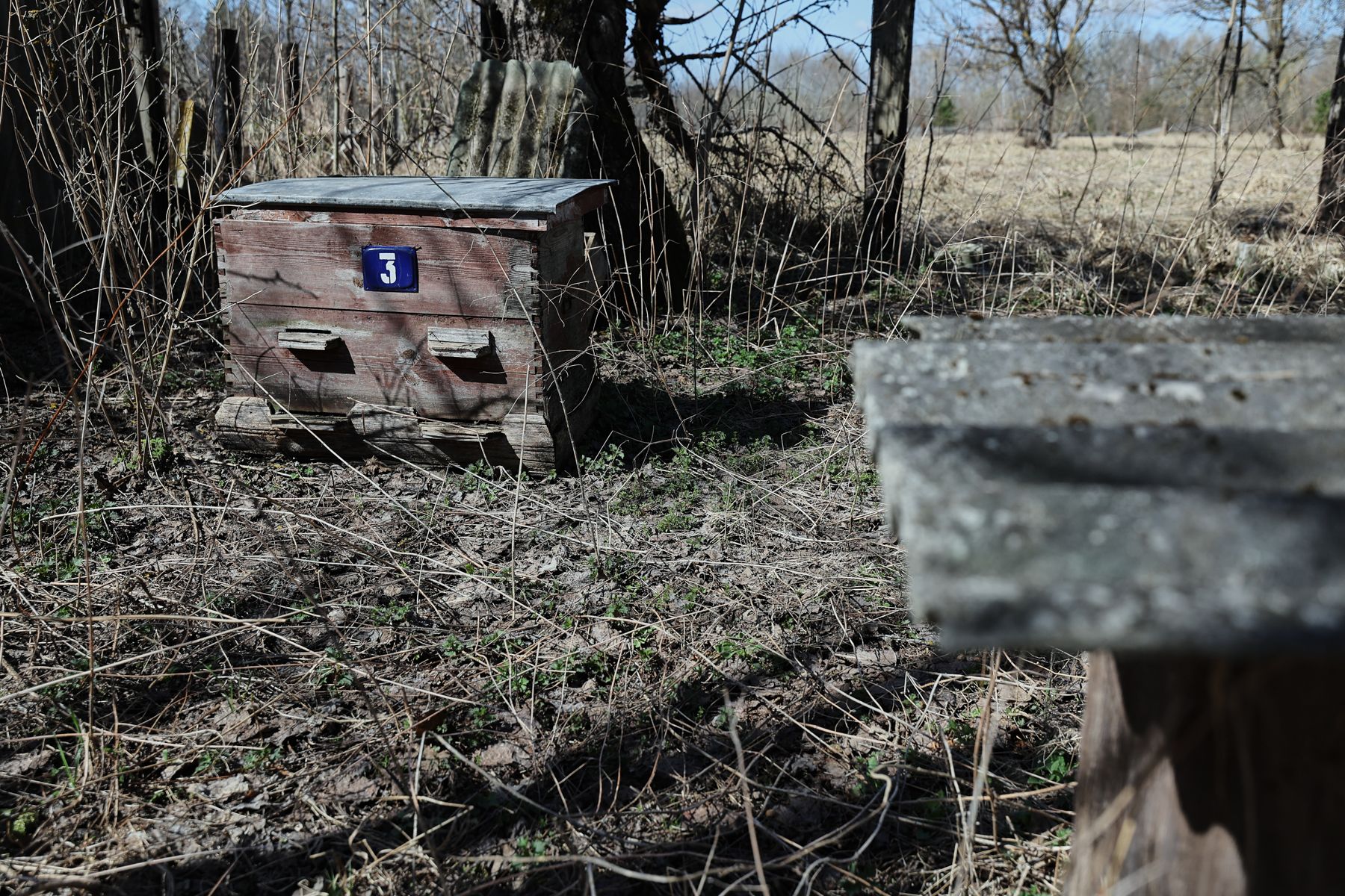 Фото: Алексей Матюшков, Times.by