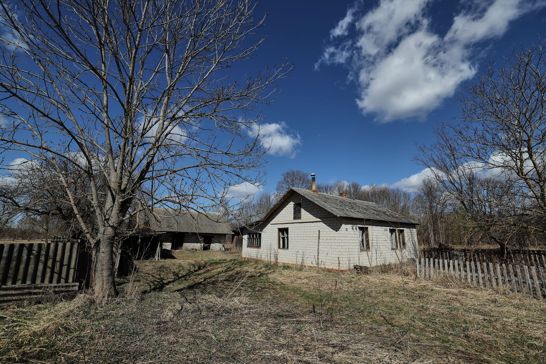 Фото: Алексей Матюшков, Times.by