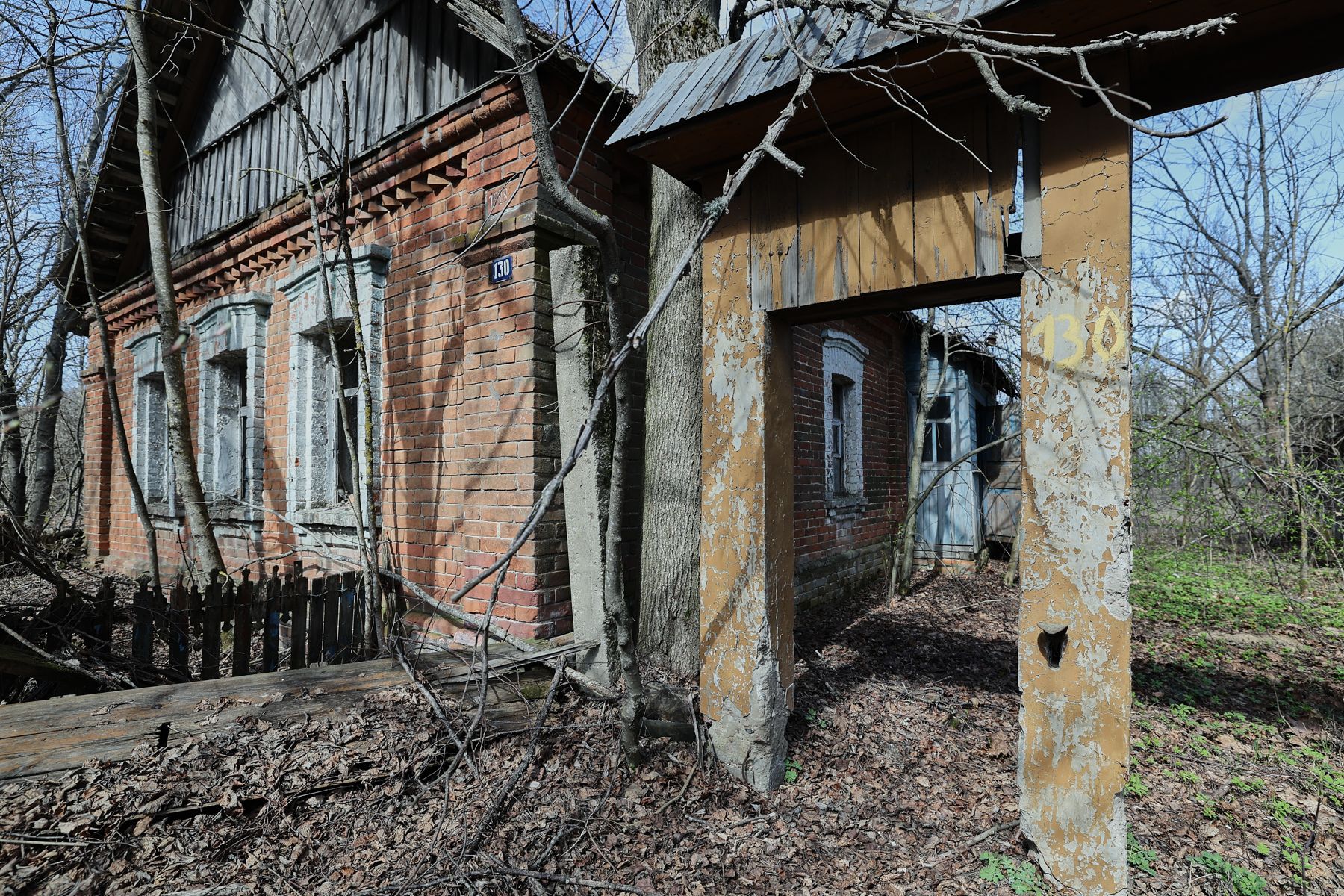 Фото: Алексей Матюшков, Times.by