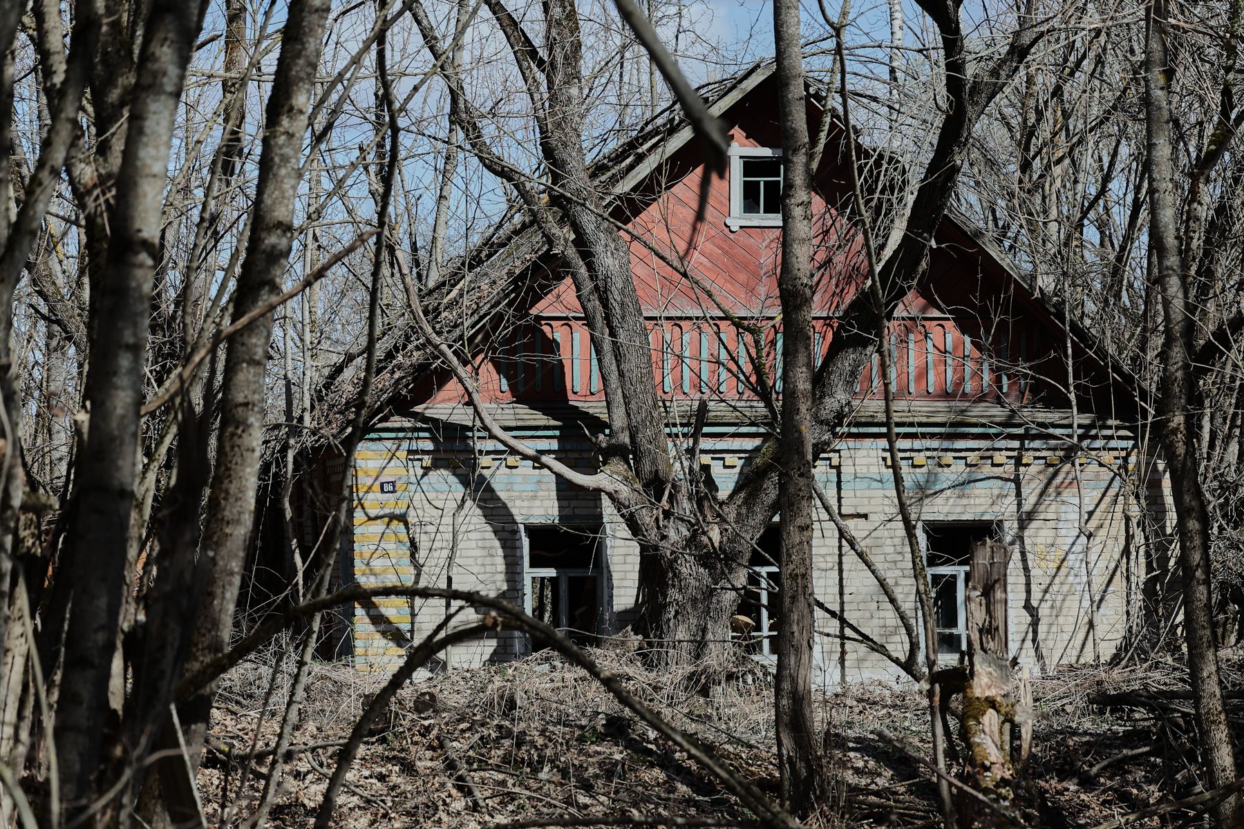 Фото: Алексей Матюшков, Times.by