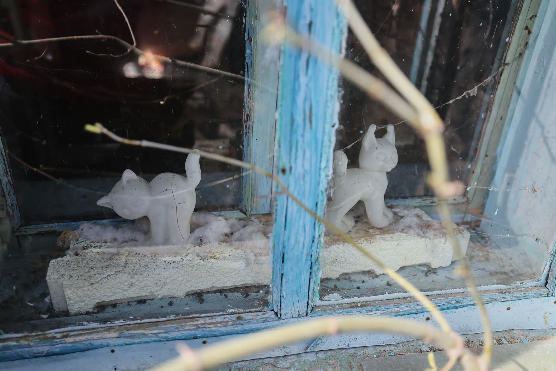 Фото: Алексей Матюшков, Times.by