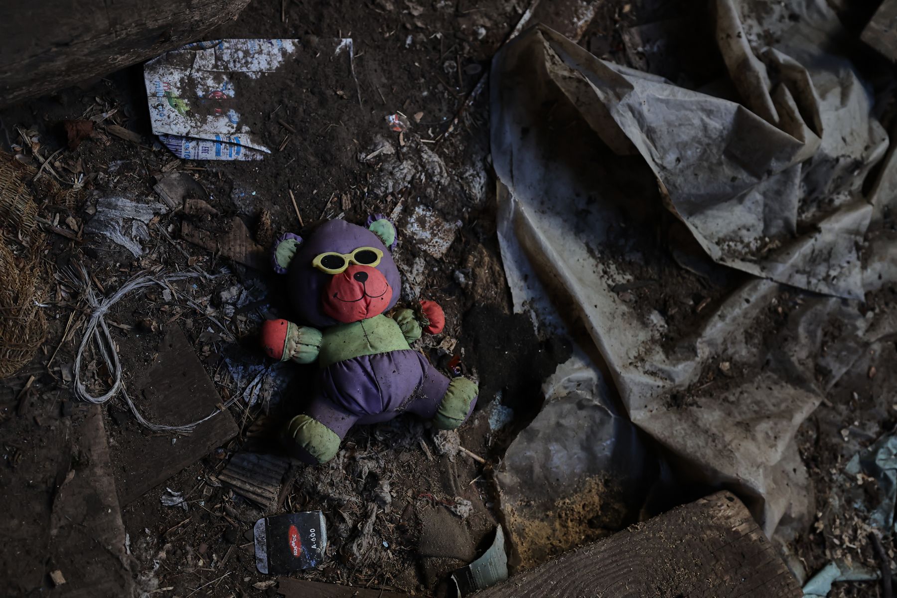 Фото: Алексей Матюшков, Times.by