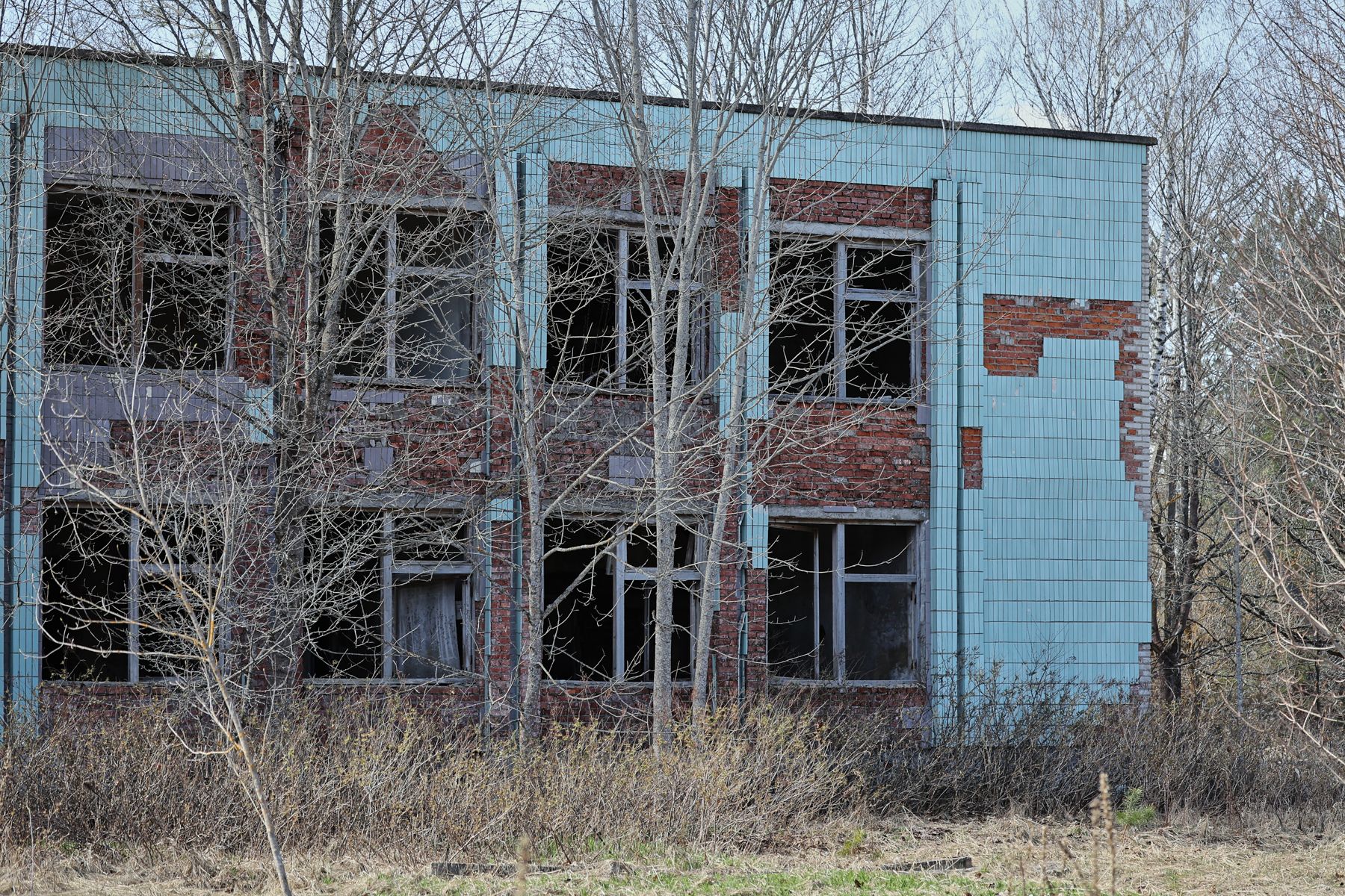 Фото: Алексей Матюшков, Times.by