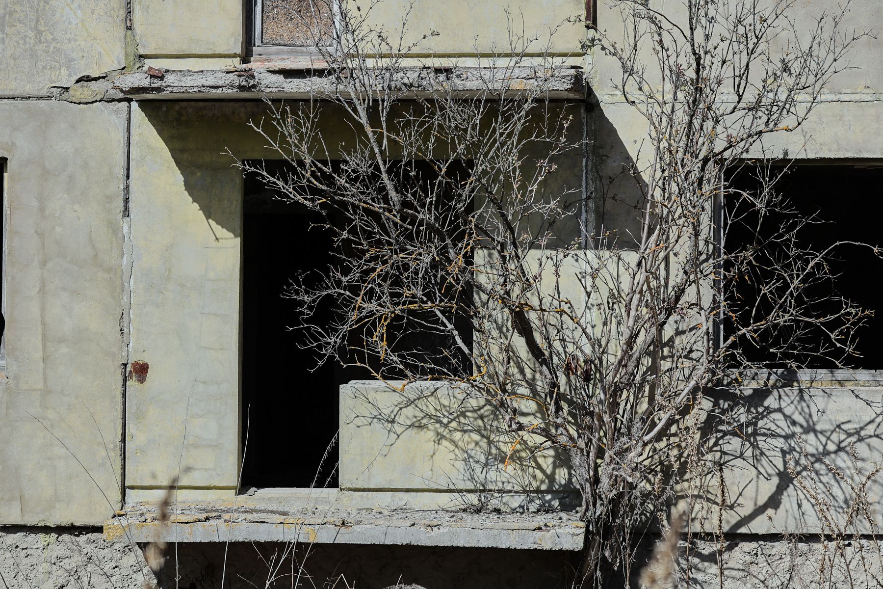 Фото: Алексей Матюшков, Times.by