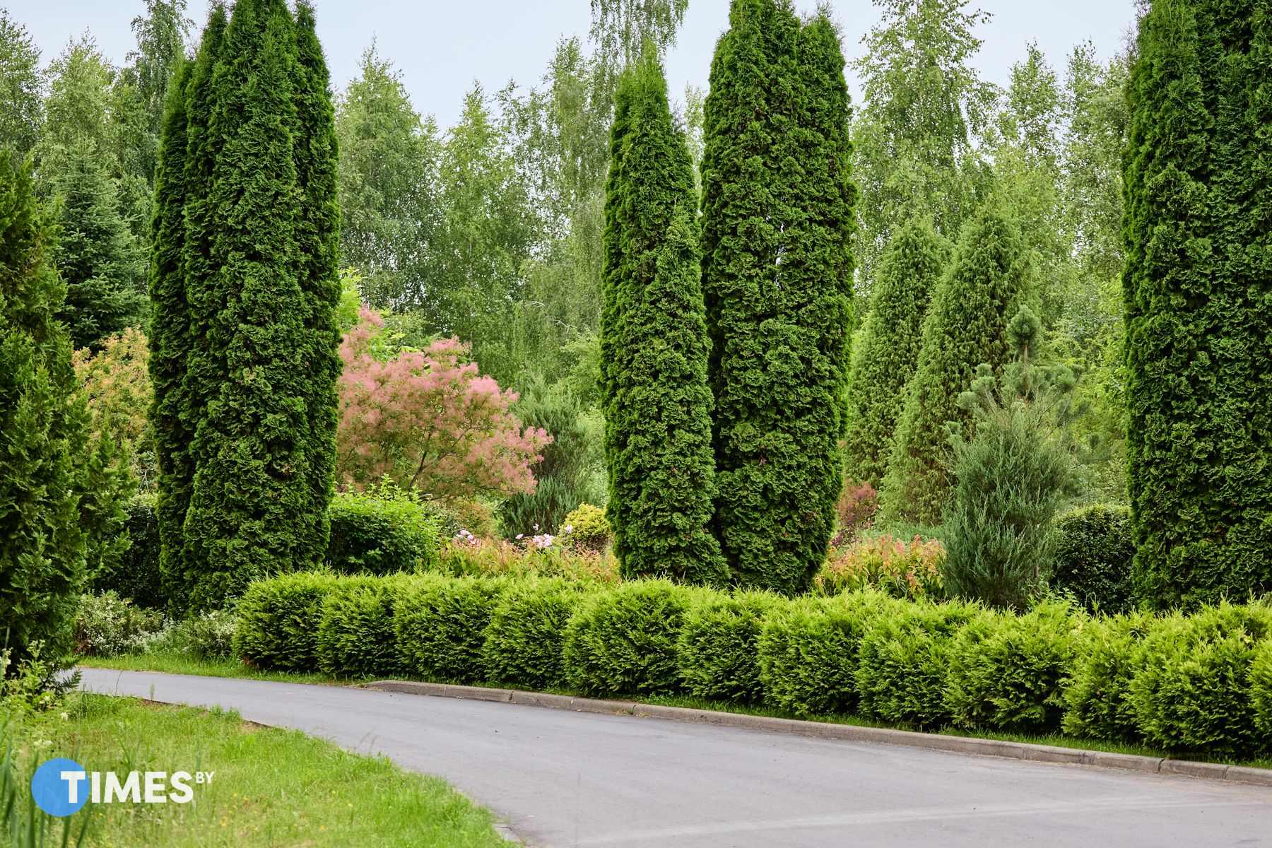 Фото: Алексей Матюшков, Times.by