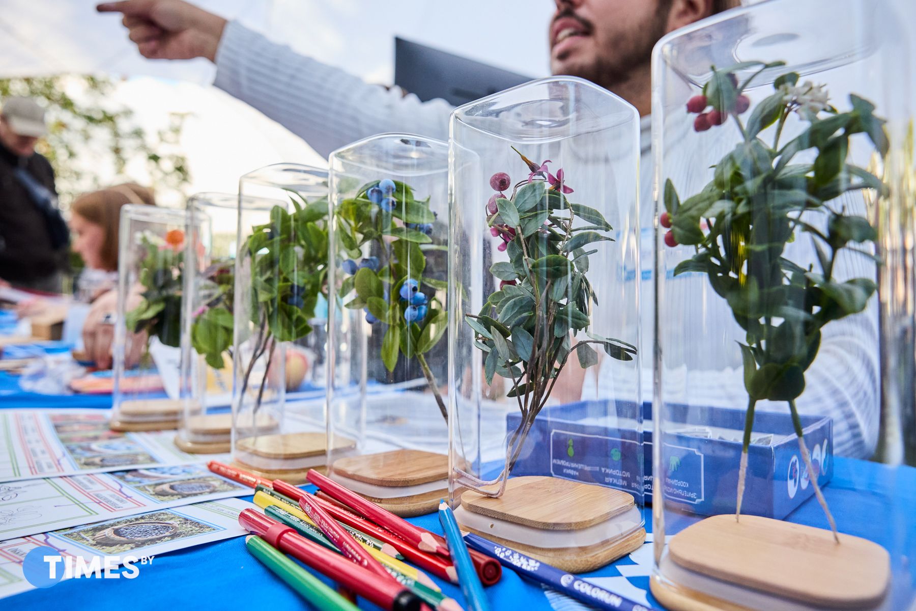 Фото: Алексей Матюшков, Times.by