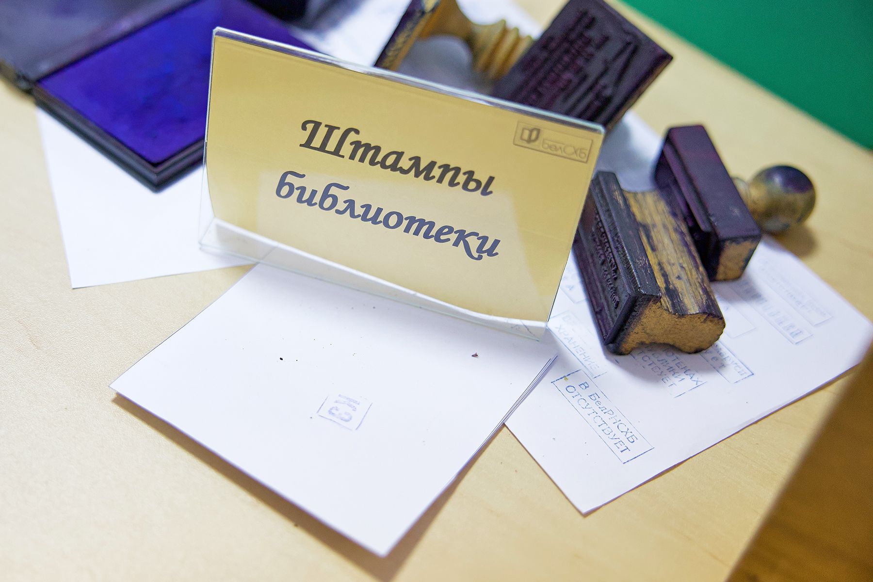 «Библионочь-2026». Фото: Алексей Матюшков, Times.by