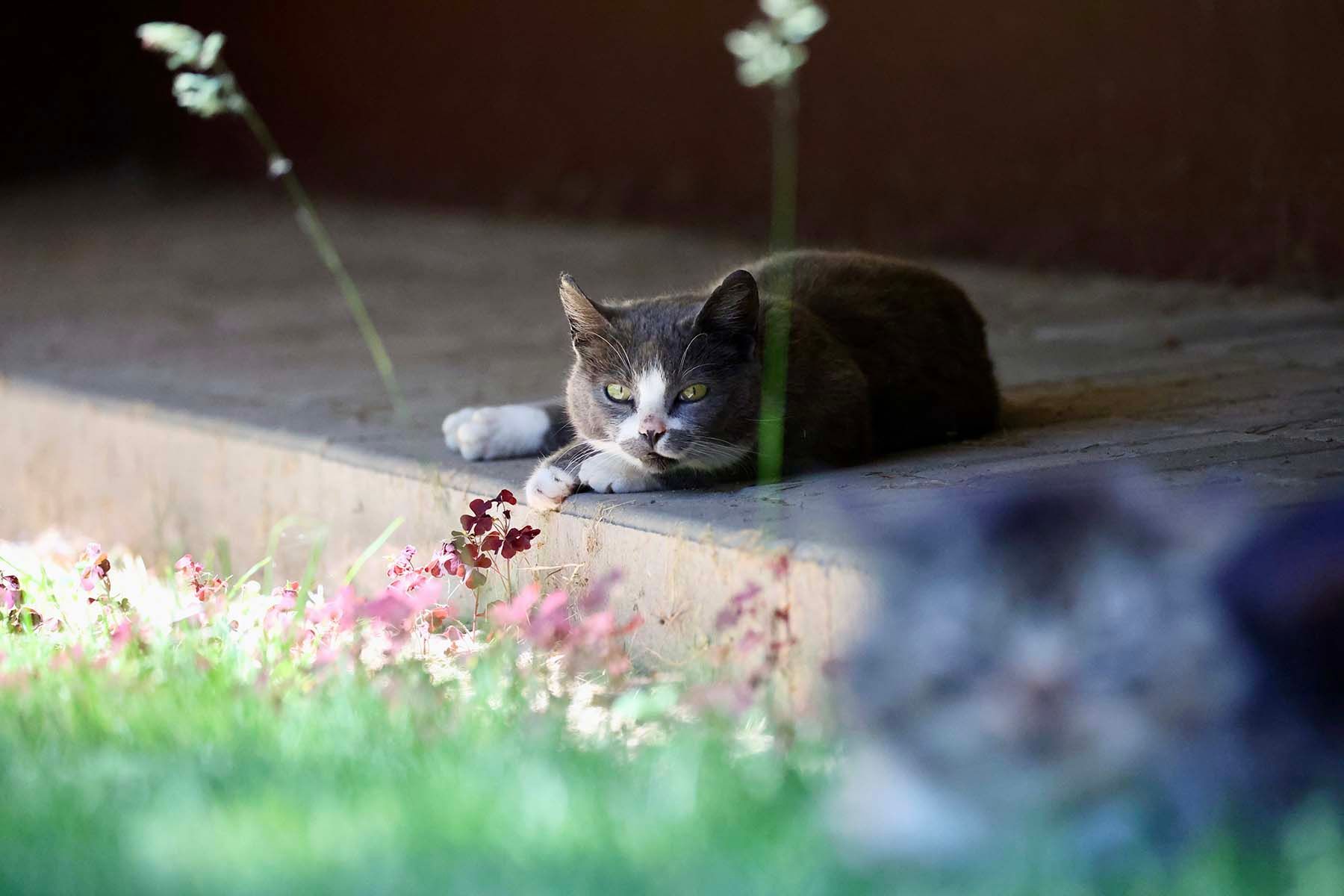 Фото: Алексей Матюшков, Times.by