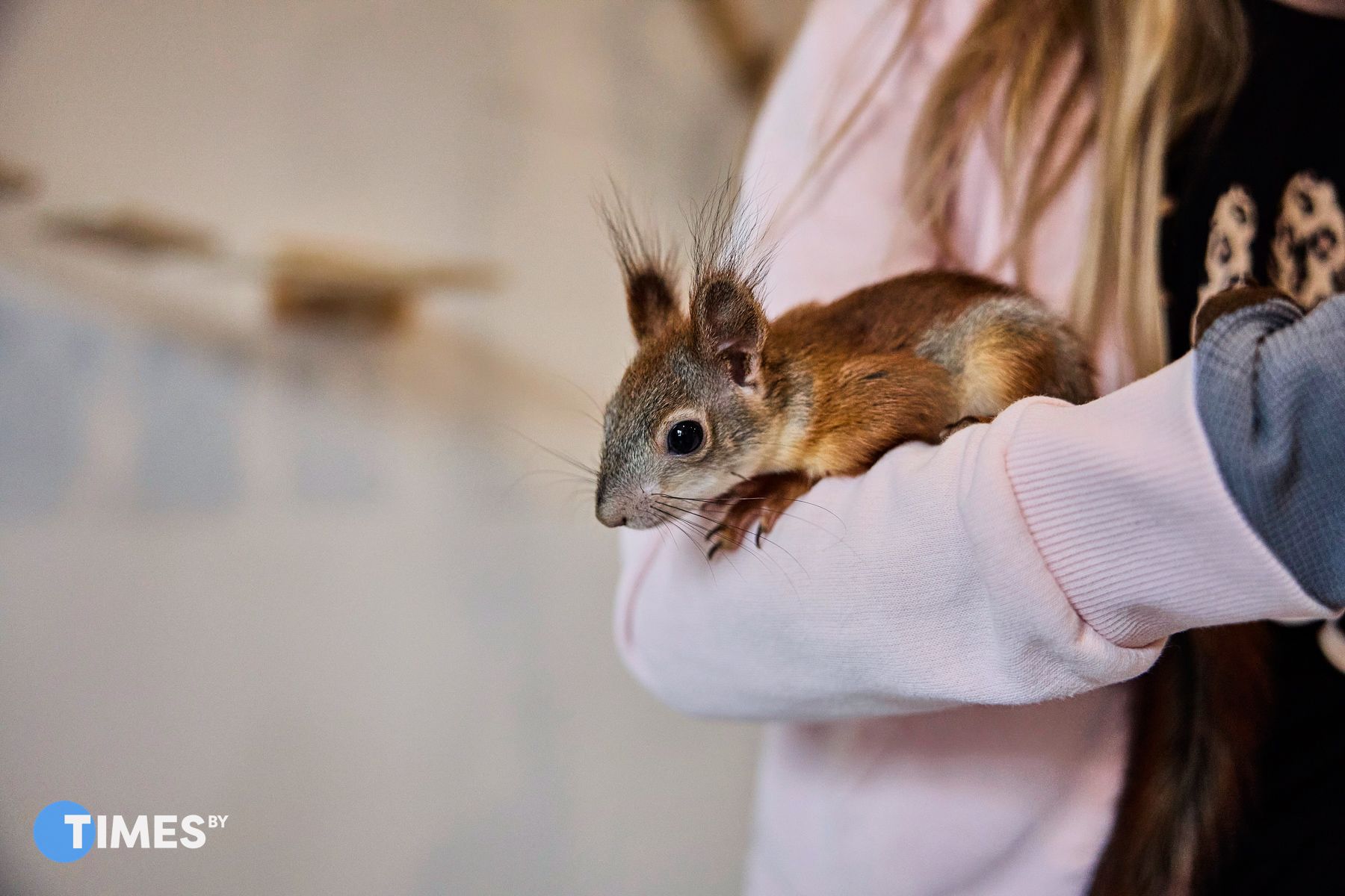 Фото: Алексей Матюшков, Times.by