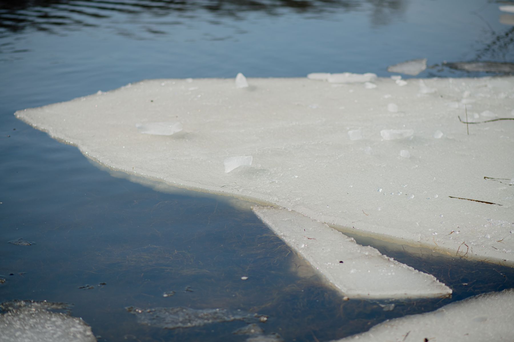 Лед на реке