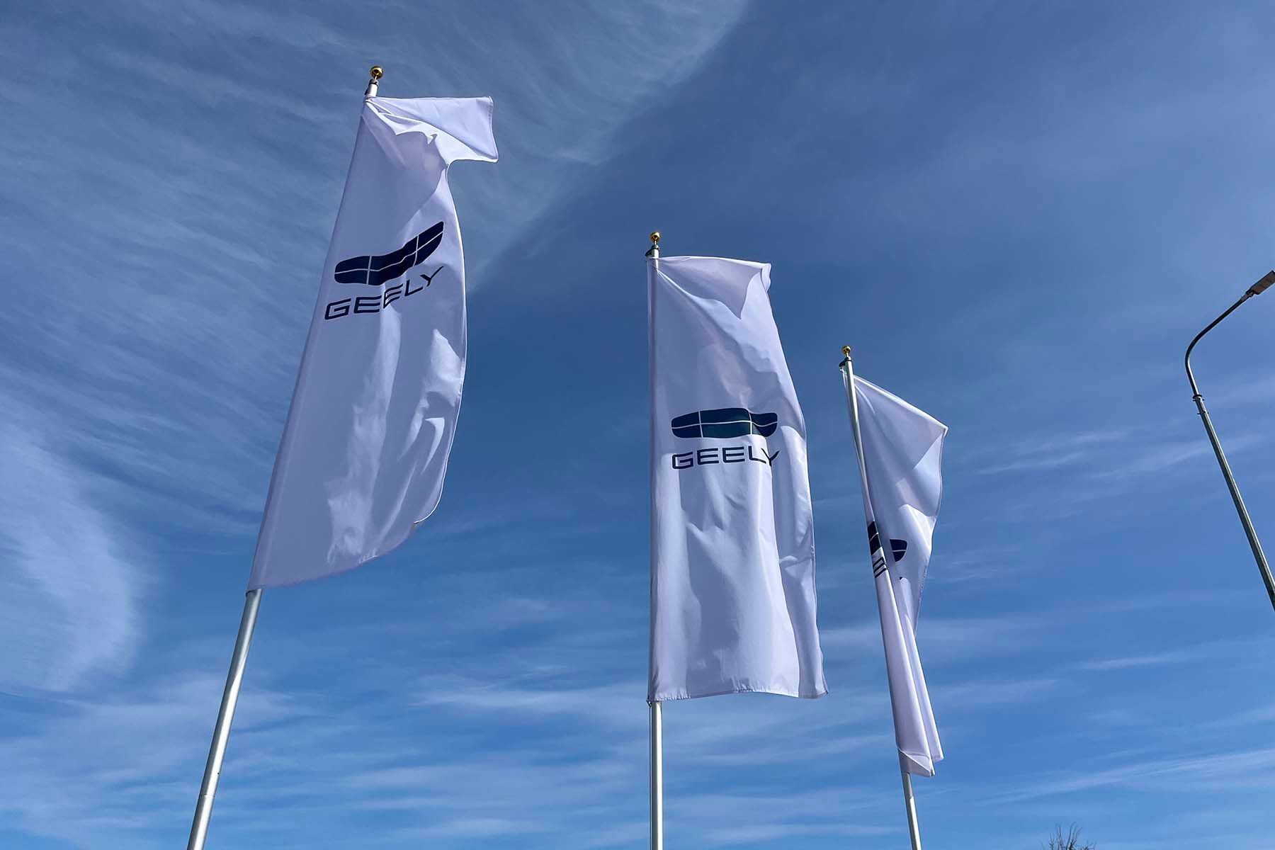 белджи джили