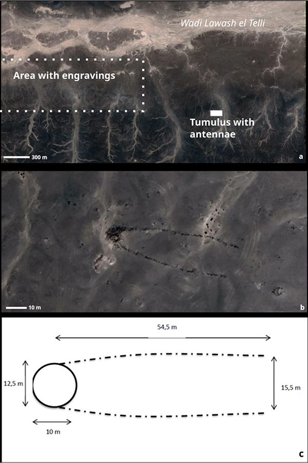 Фото: African Archaeological Review