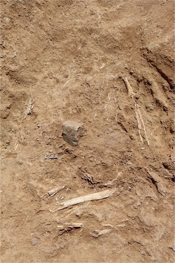 Фото: African Archaeological Review