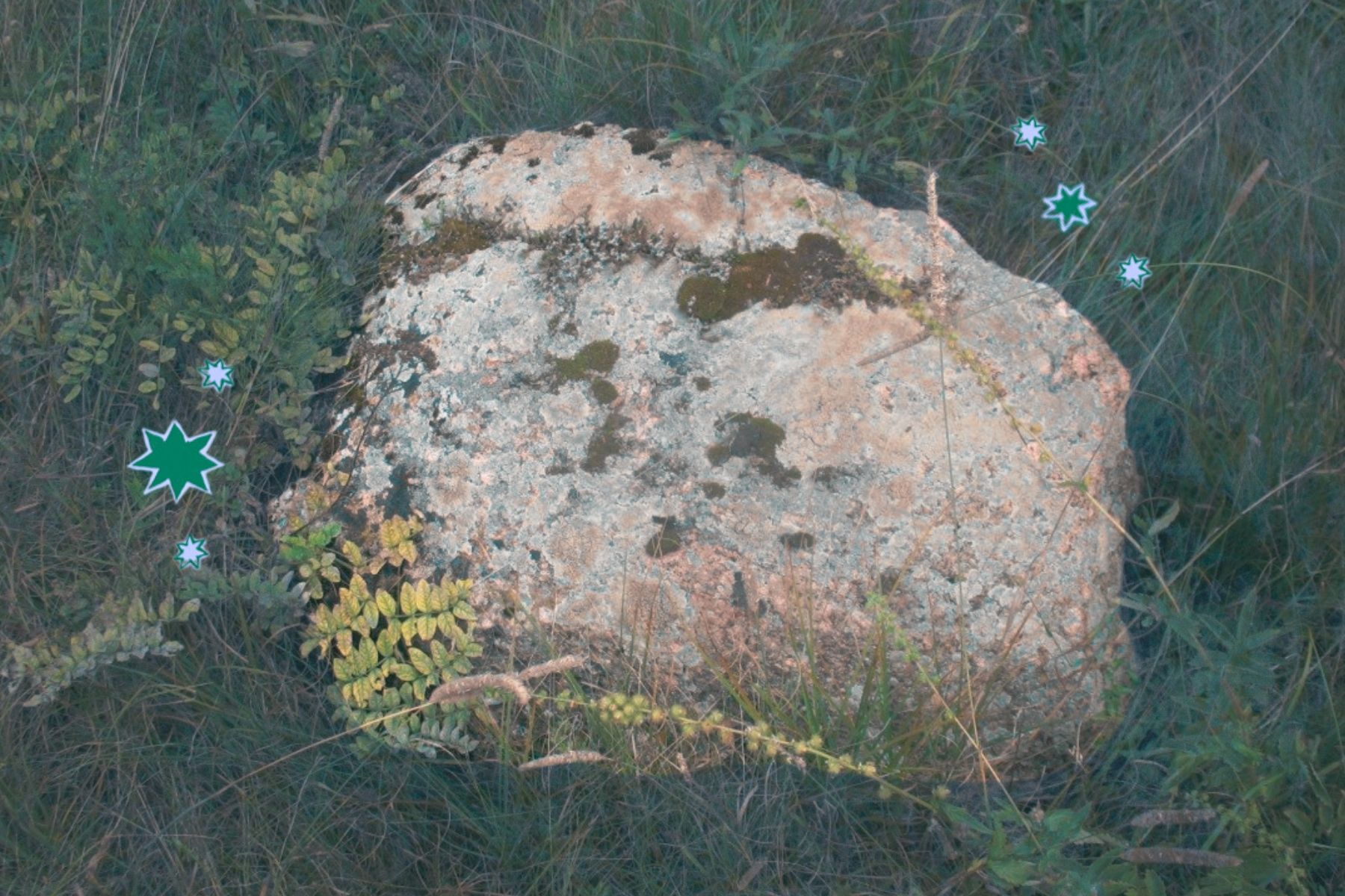 17.jpg