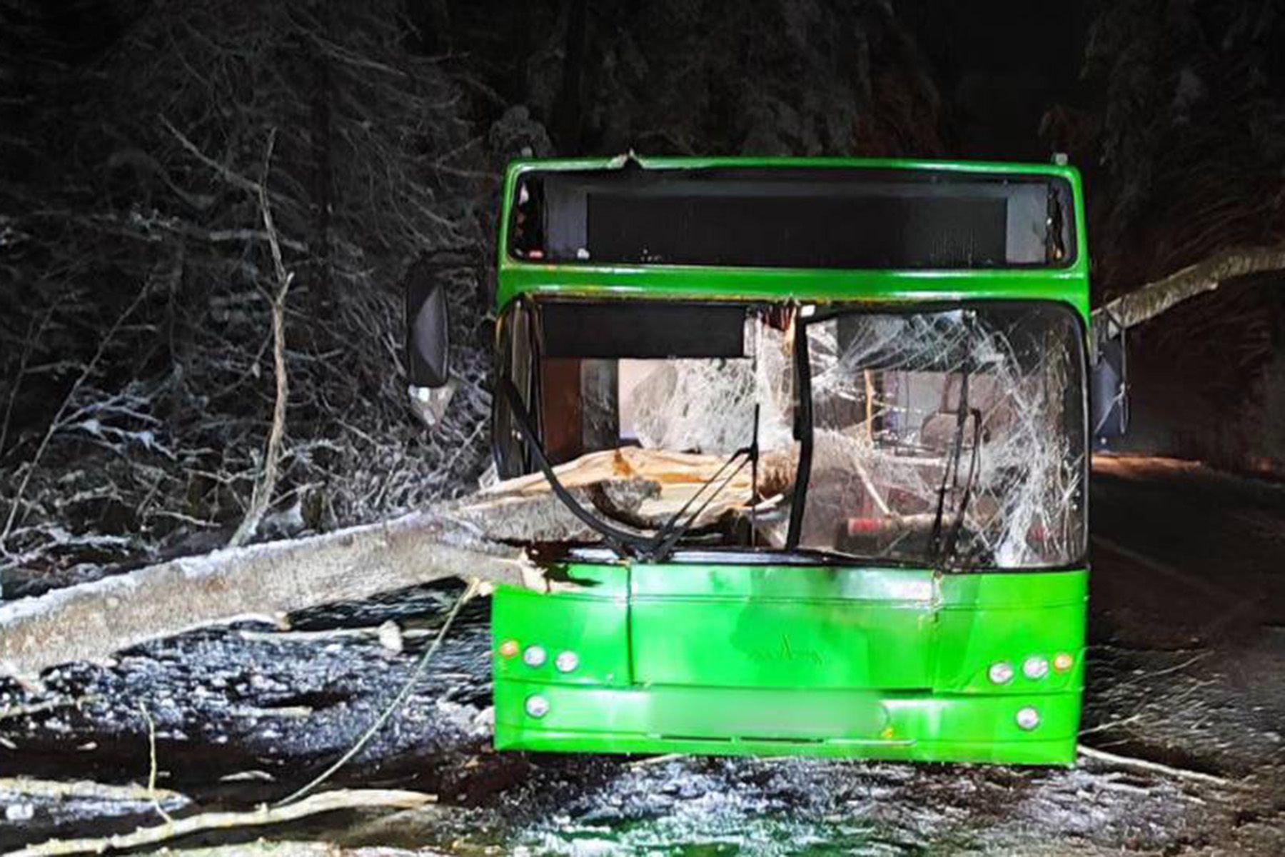 © УГАИ УВД Гомельского облисполкома