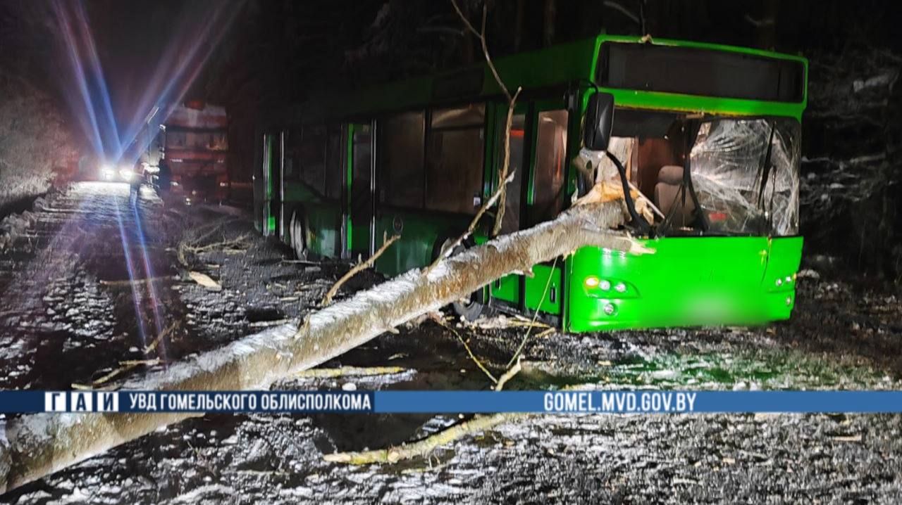 © УГАИ УВД Гомельского облисполкома