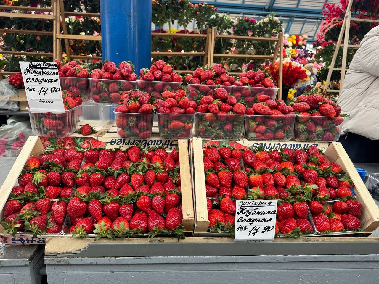 Клубника на Комаровке