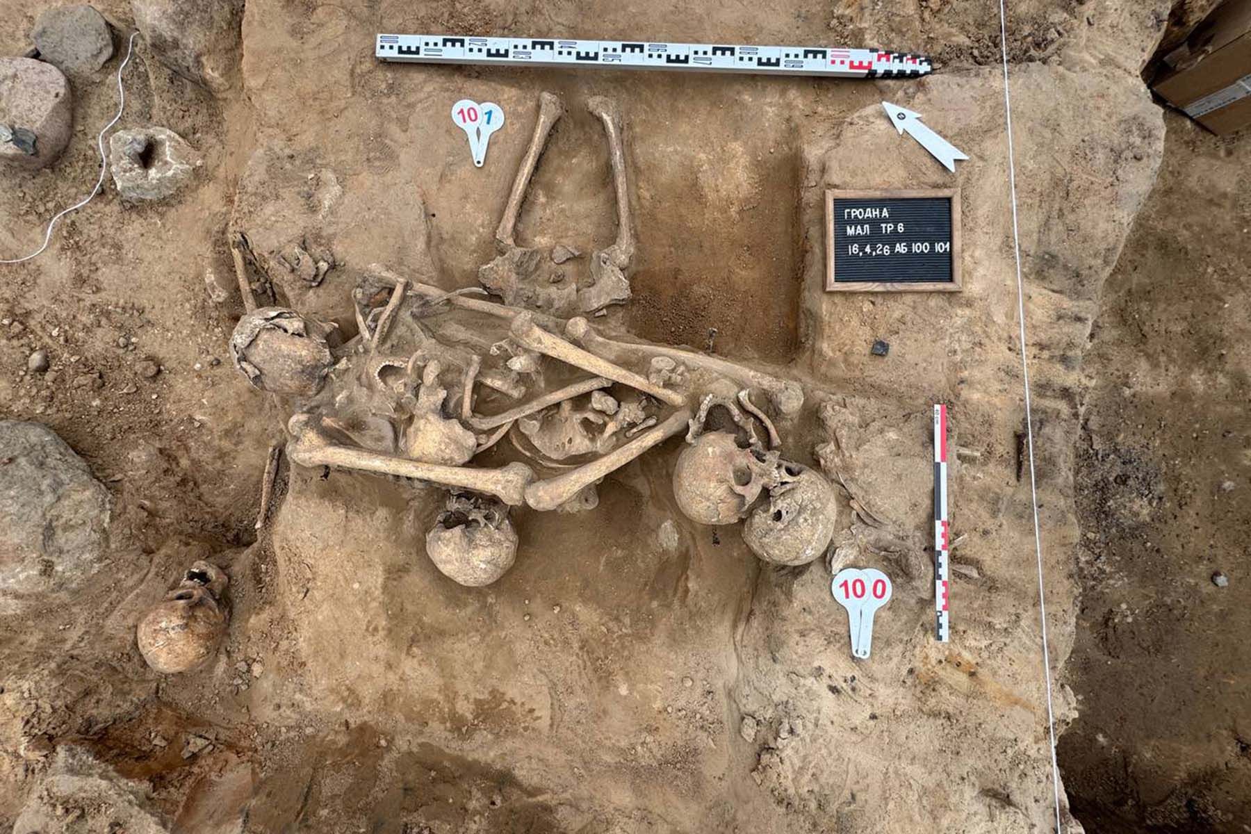 Фото предоставлено археологической экспедицией