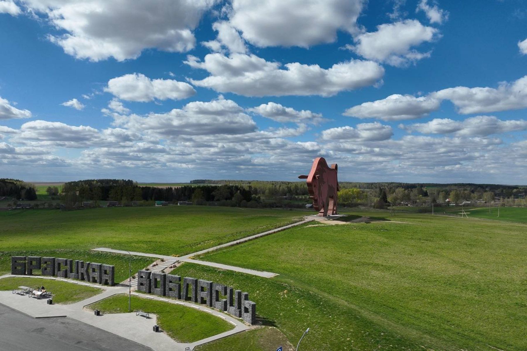 Зубр по пути в Брест